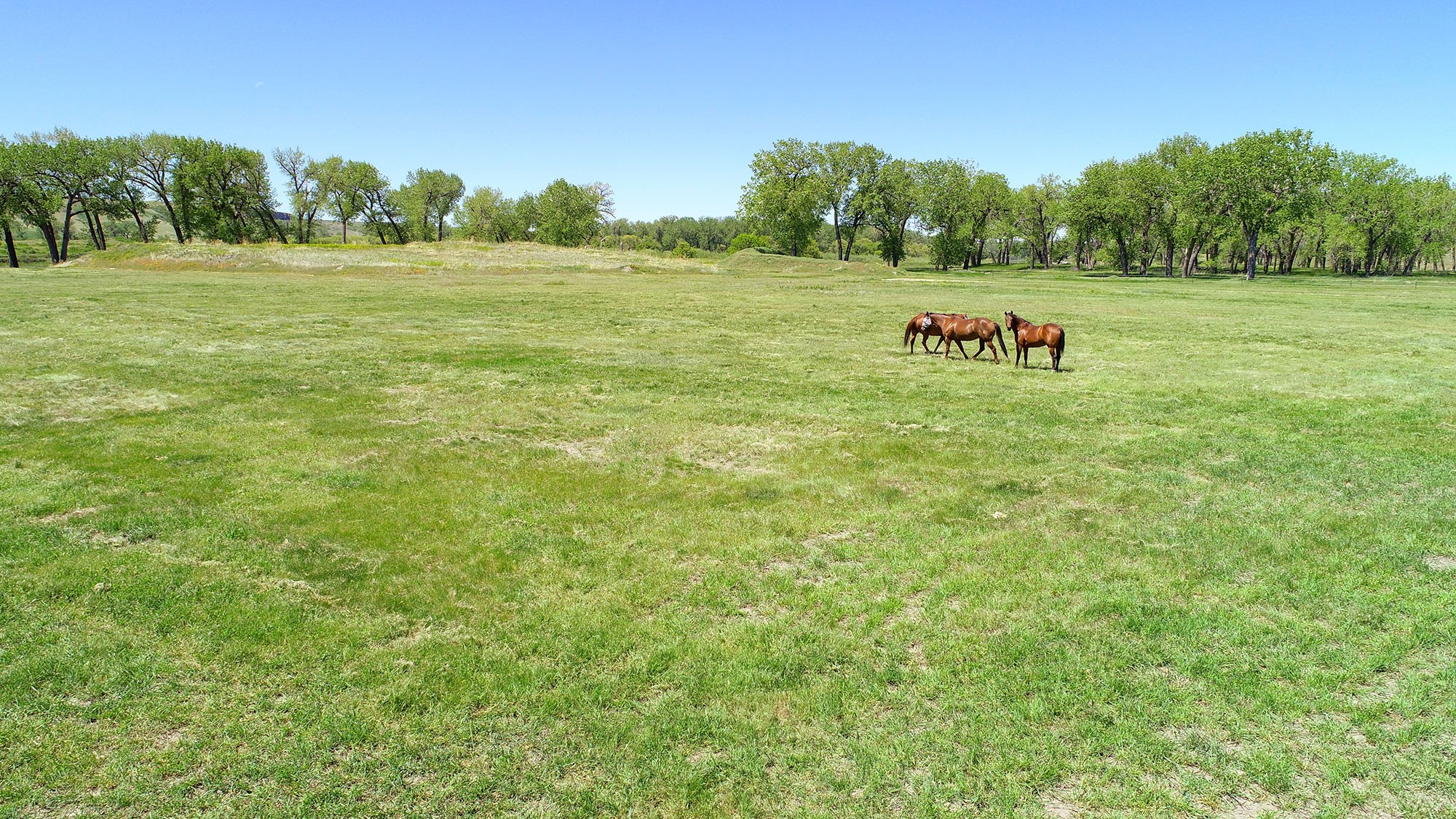 84 Tumbleweed Lane Property Photo 20