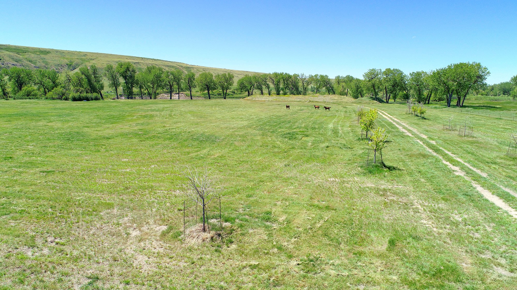 84 Tumbleweed Lane Property Photo 21