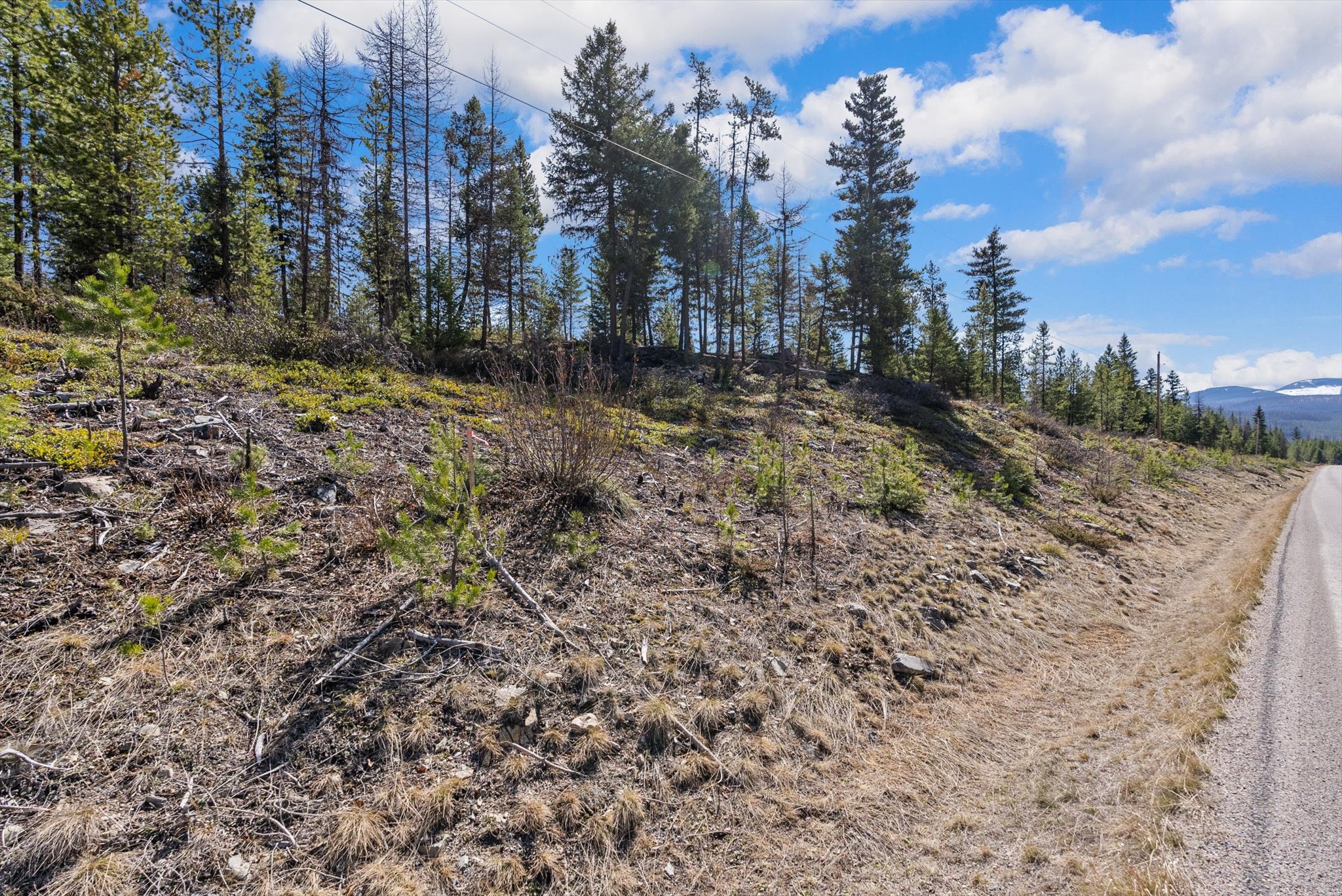1034 View Ridge Property Photo 17