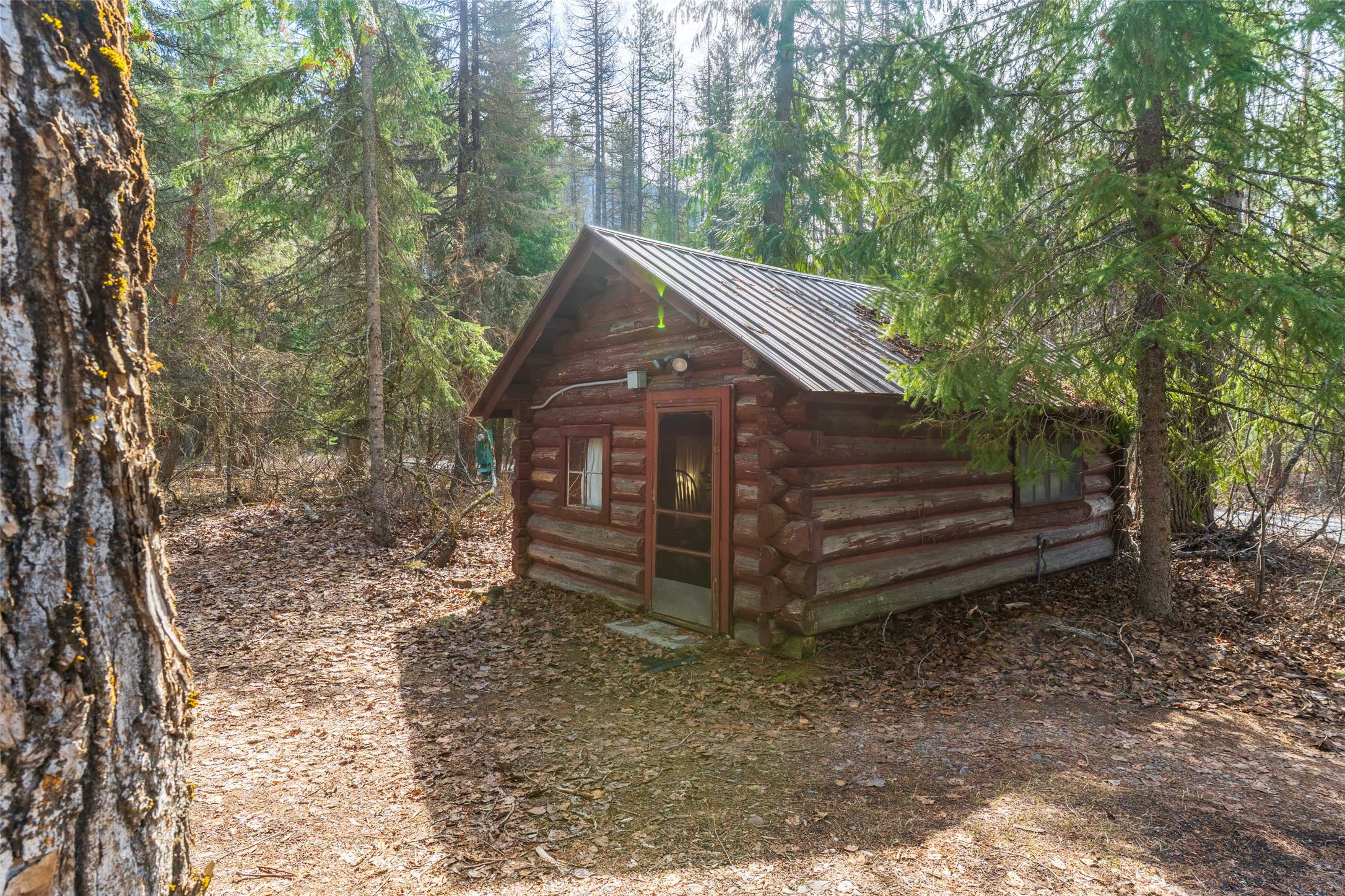 586 Apgar Loop Road Property Photo 63