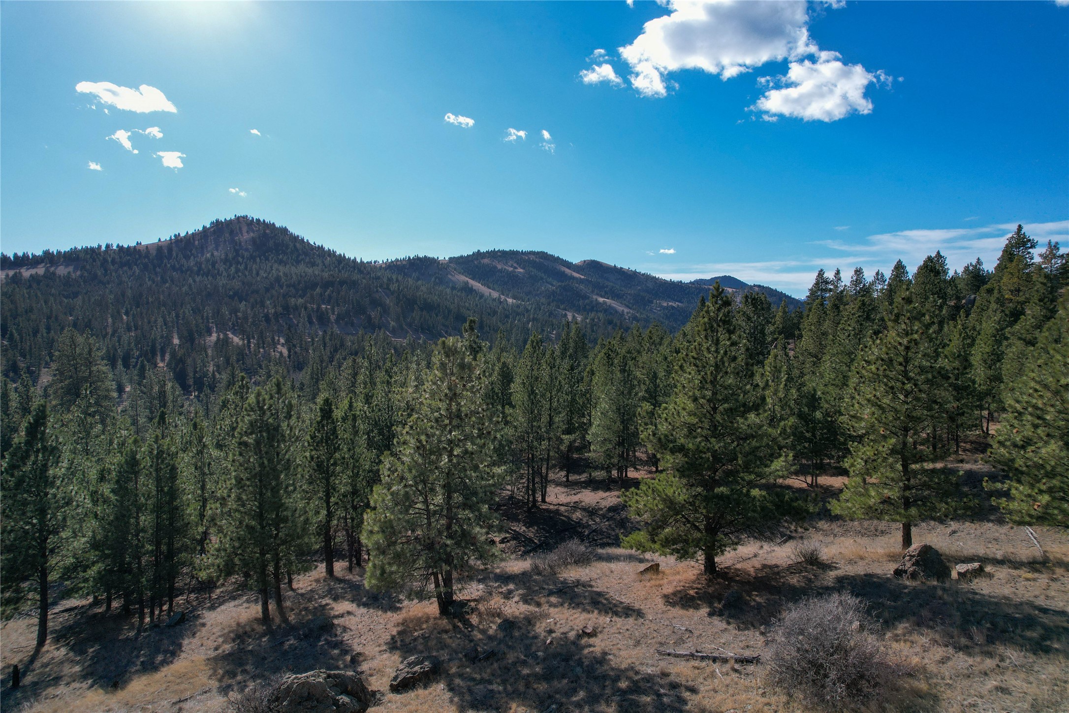 Tract A-2 Clancy Creek Road Property Photo 12