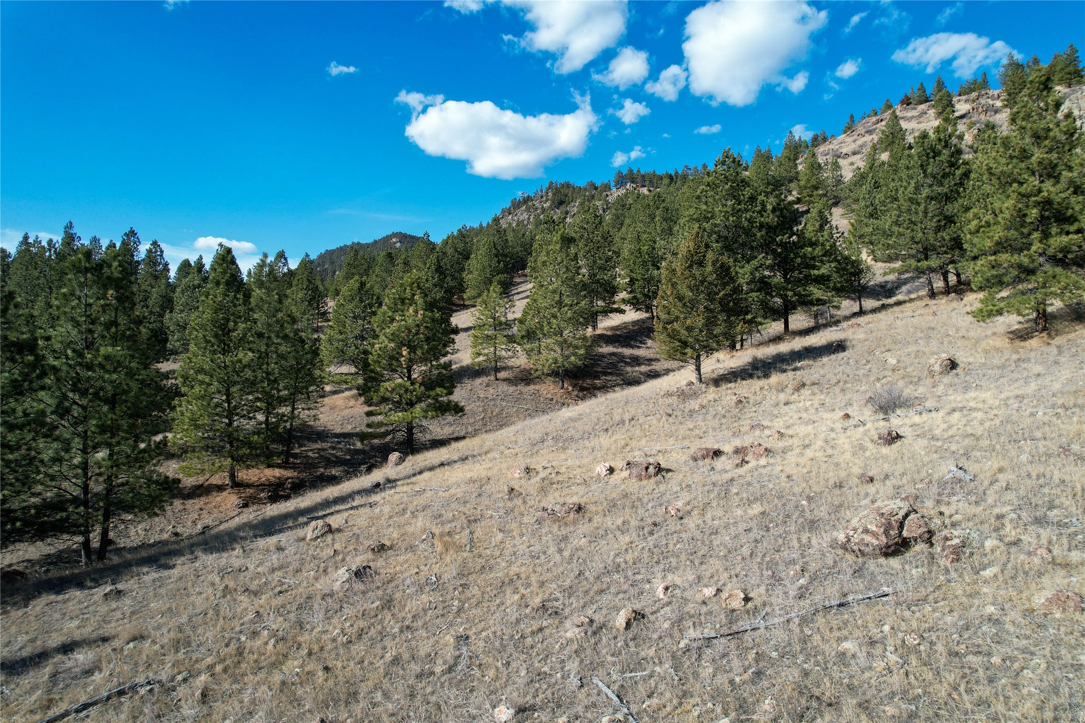 Tract A-2 Clancy Creek Road Property Photo 15