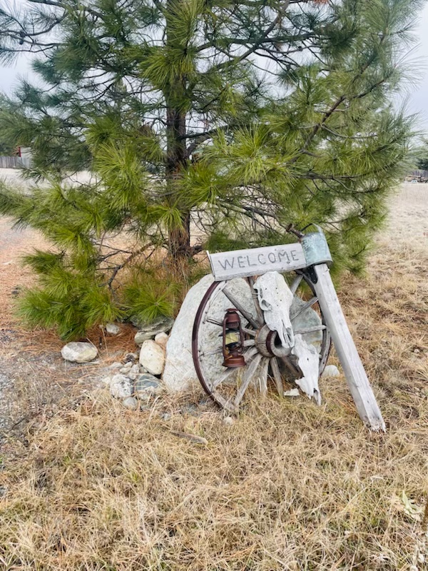 198 Acres Lane Property Photo 13