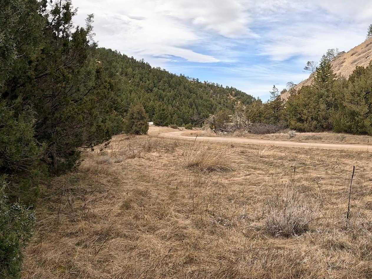 Nhn Pole Gulch Road Property Photo 5