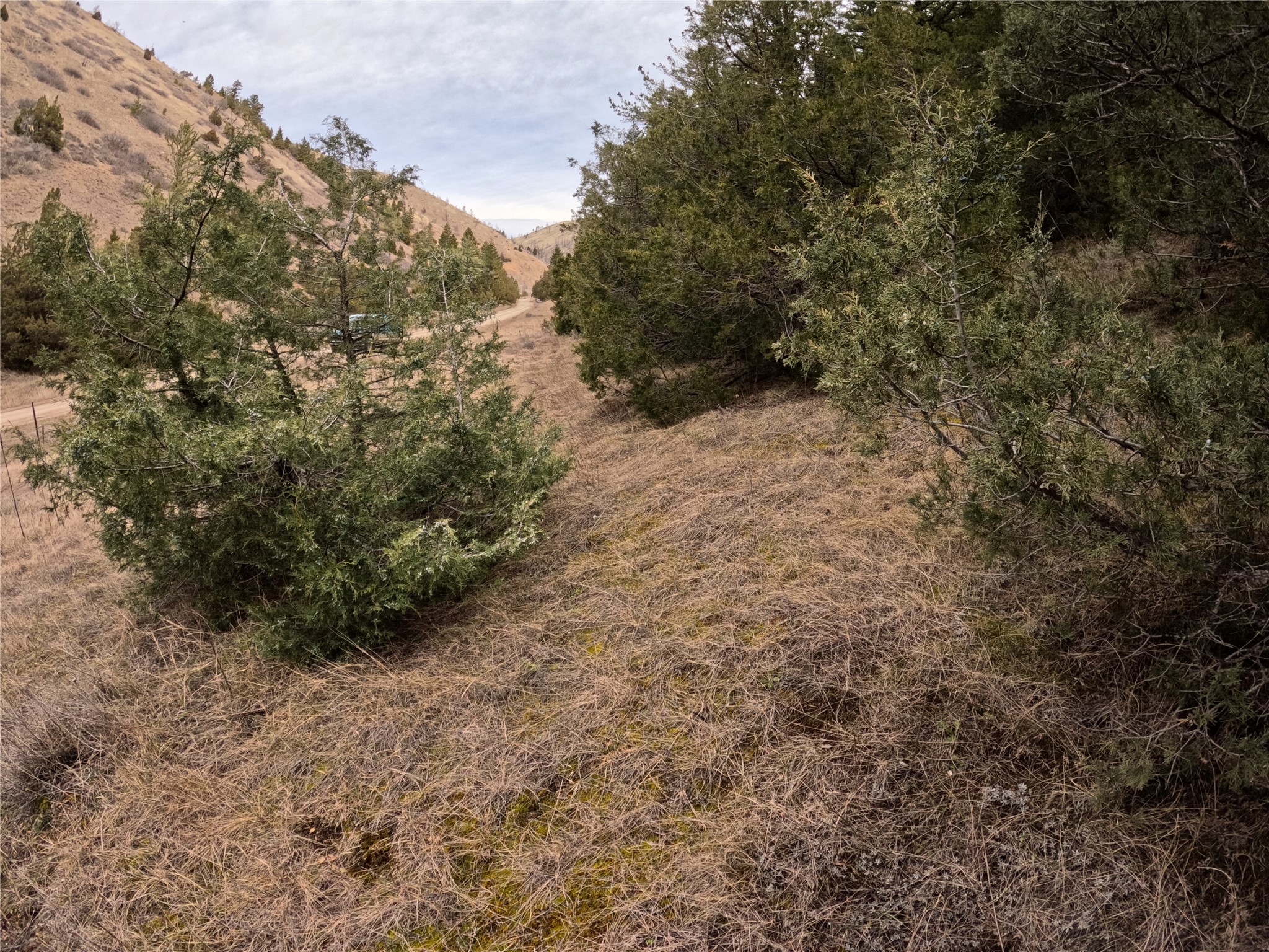Nhn Pole Gulch Road Property Photo 8