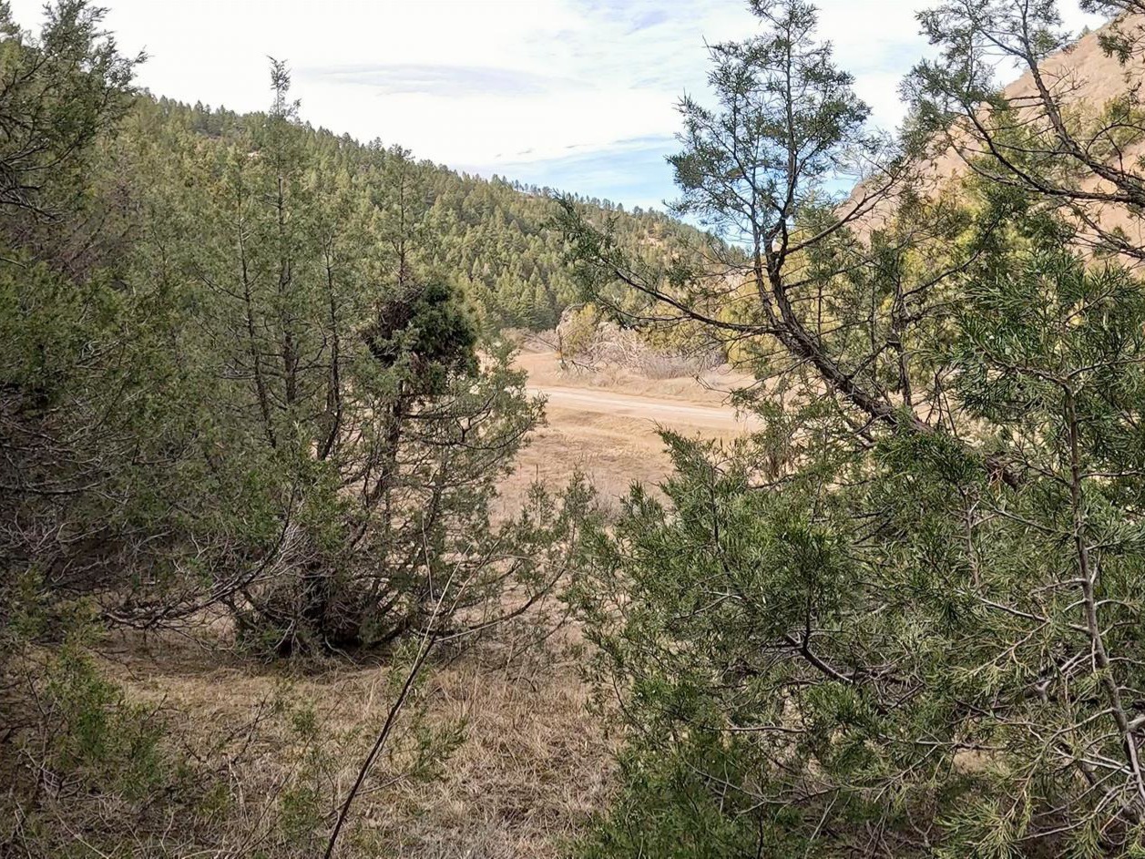 Nhn Pole Gulch Road Property Photo 9