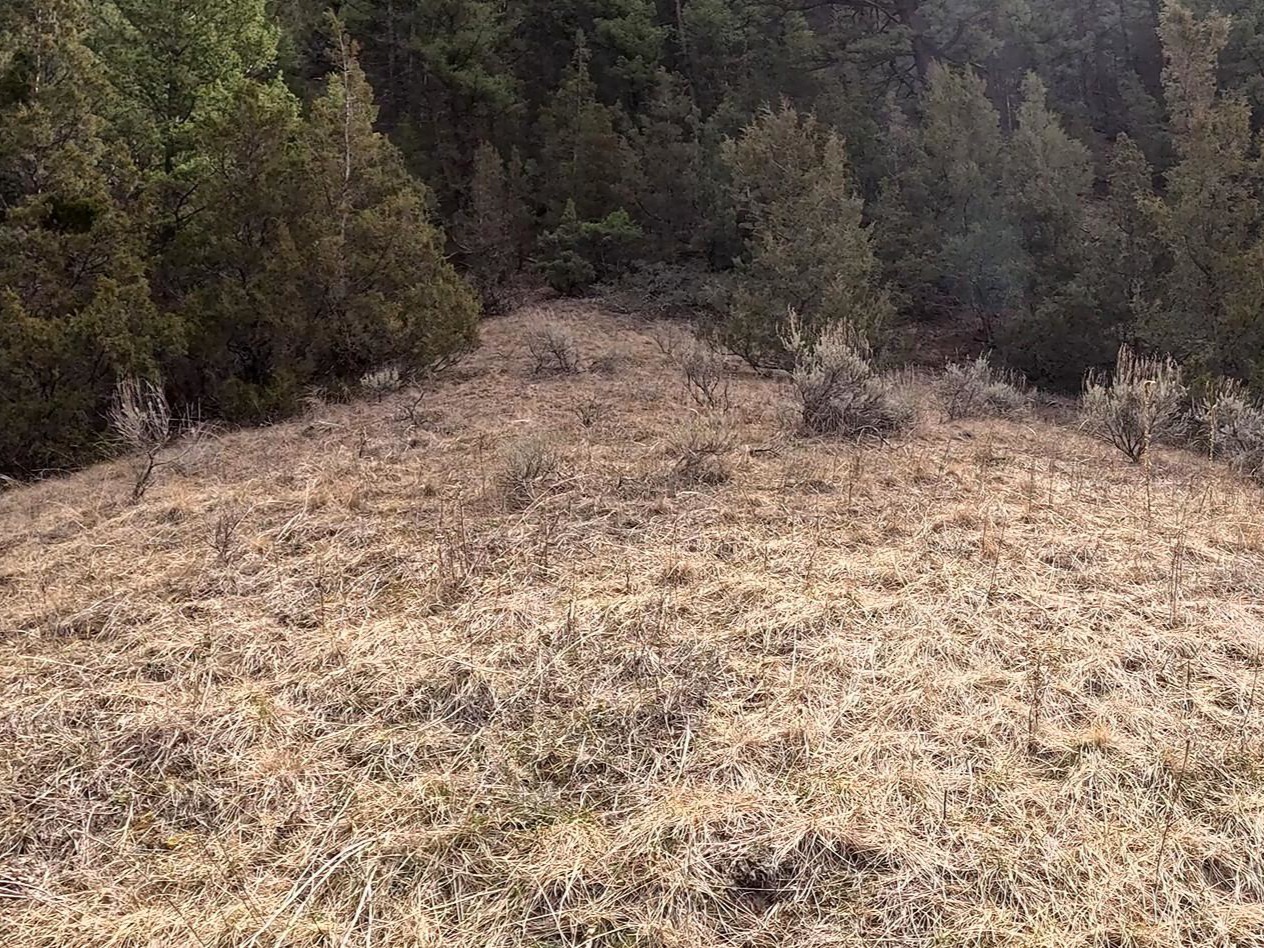Nhn Pole Gulch Road Property Photo 10