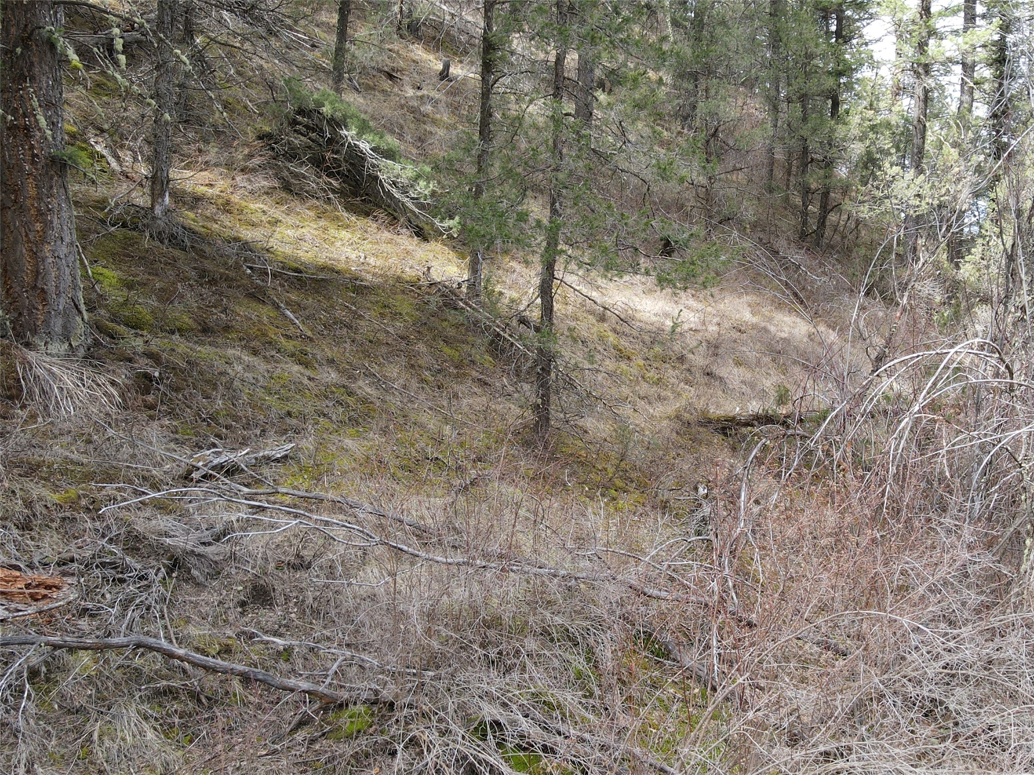 Nhn Pole Gulch Road Property Photo 12