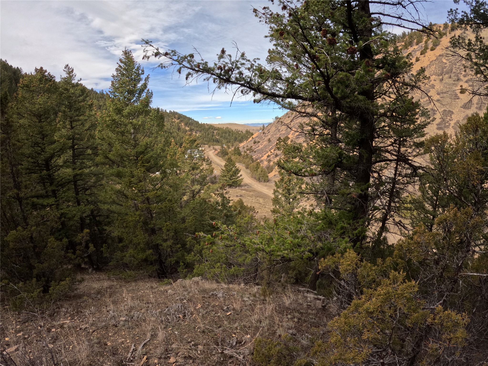 Nhn Pole Gulch Road Property Photo 16