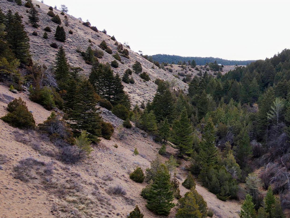Nhn Pole Gulch Road Property Photo 24