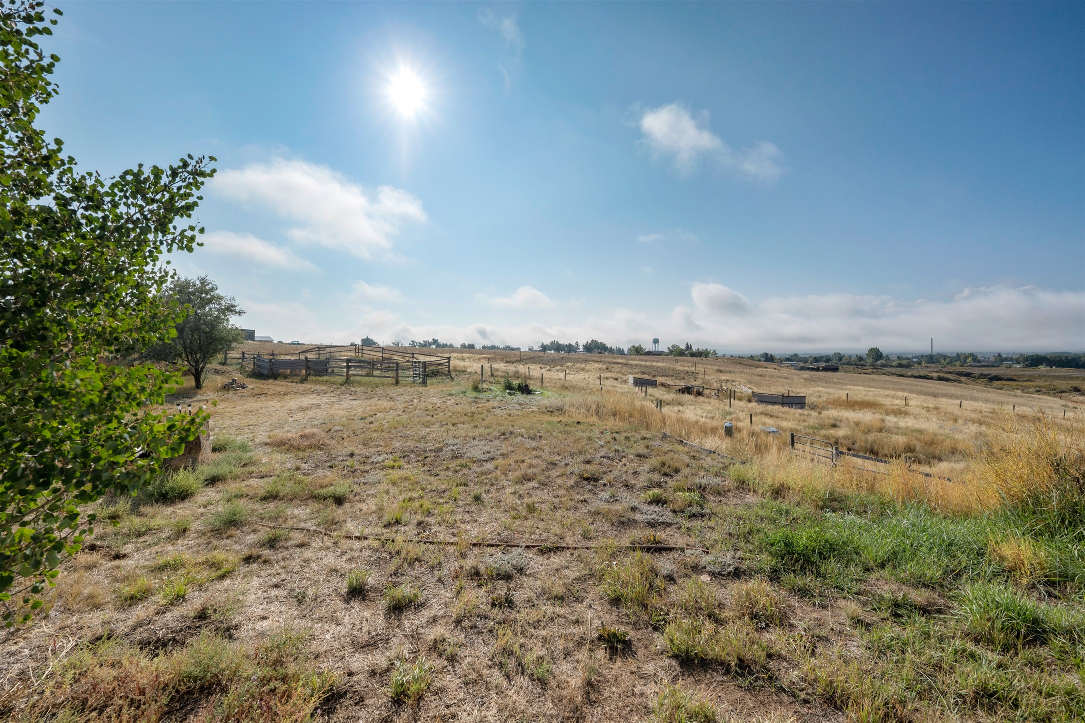 23 Holdsworth Road Property Photo 13
