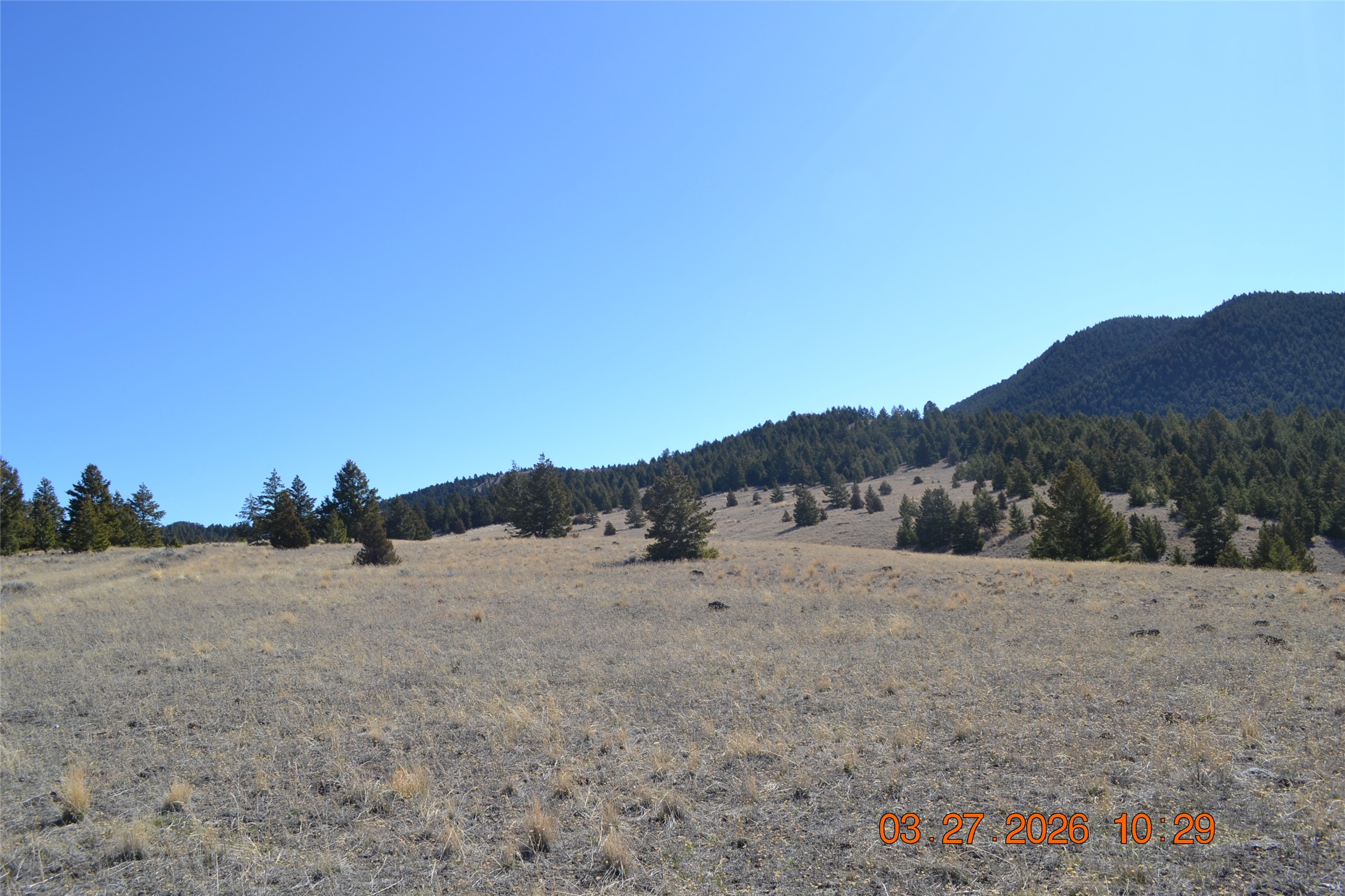 900 Flint Creek Road Property Photo 20