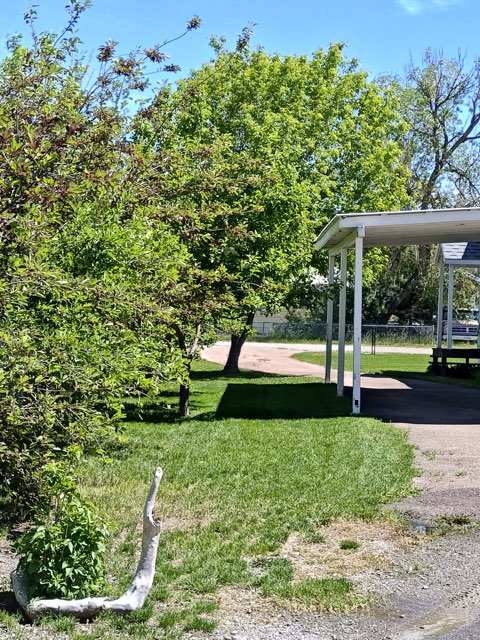 206 4th Avenue Sw Property Photo 5