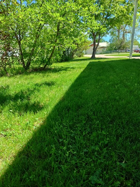 206 4th Avenue Sw Property Photo 41