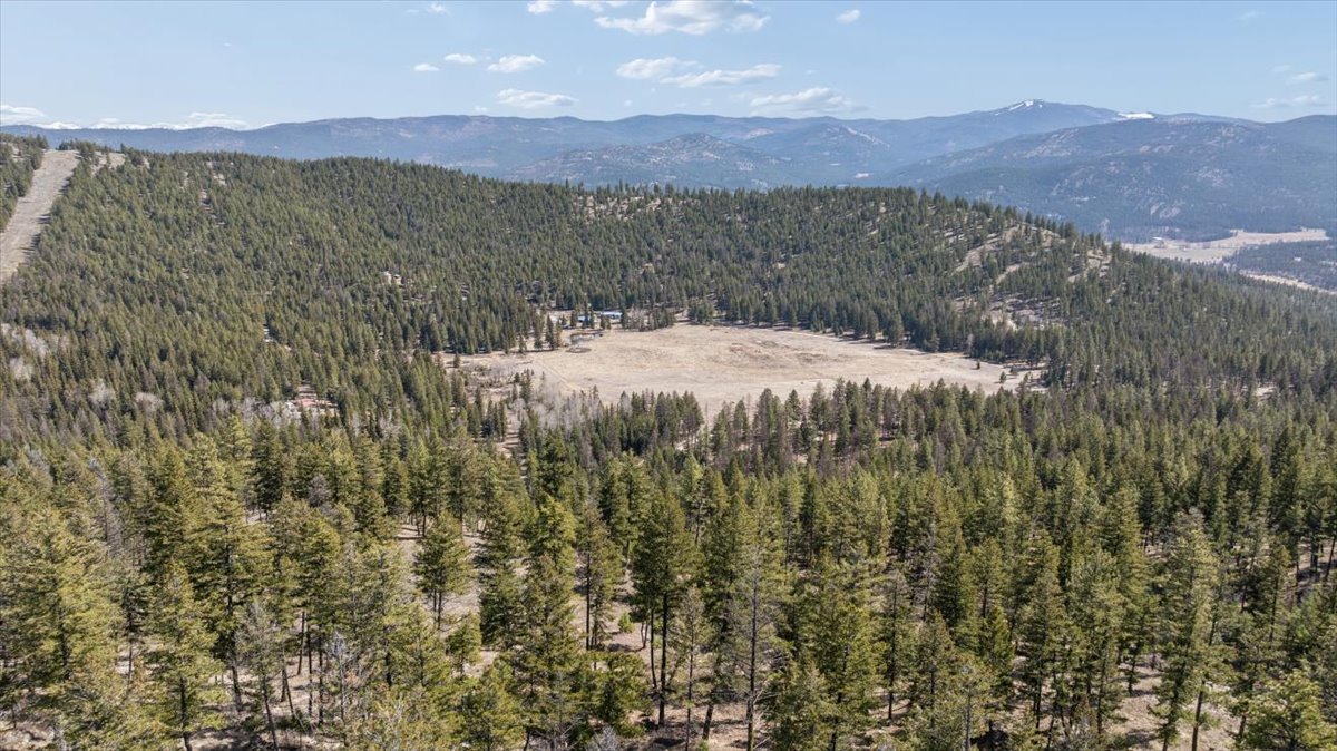594 Dower Draw Property Photo 8