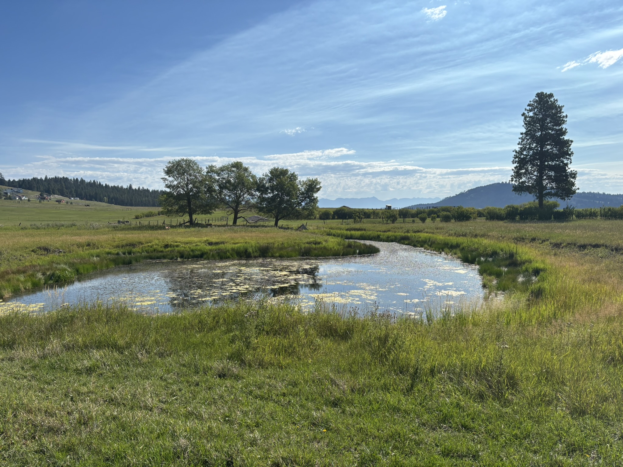 691 Morning View Drive Property Photo 1