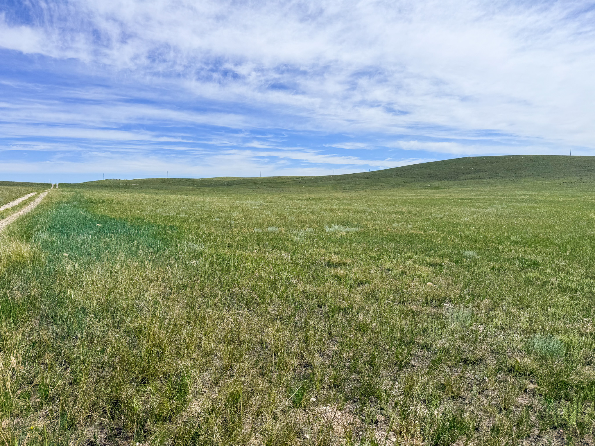 Lot 146 Willow Creek Subdivision Property Photo 1