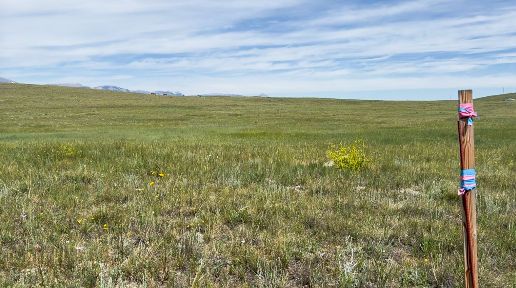 Lot 146 Willow Creek Subdivision Property Photo 6