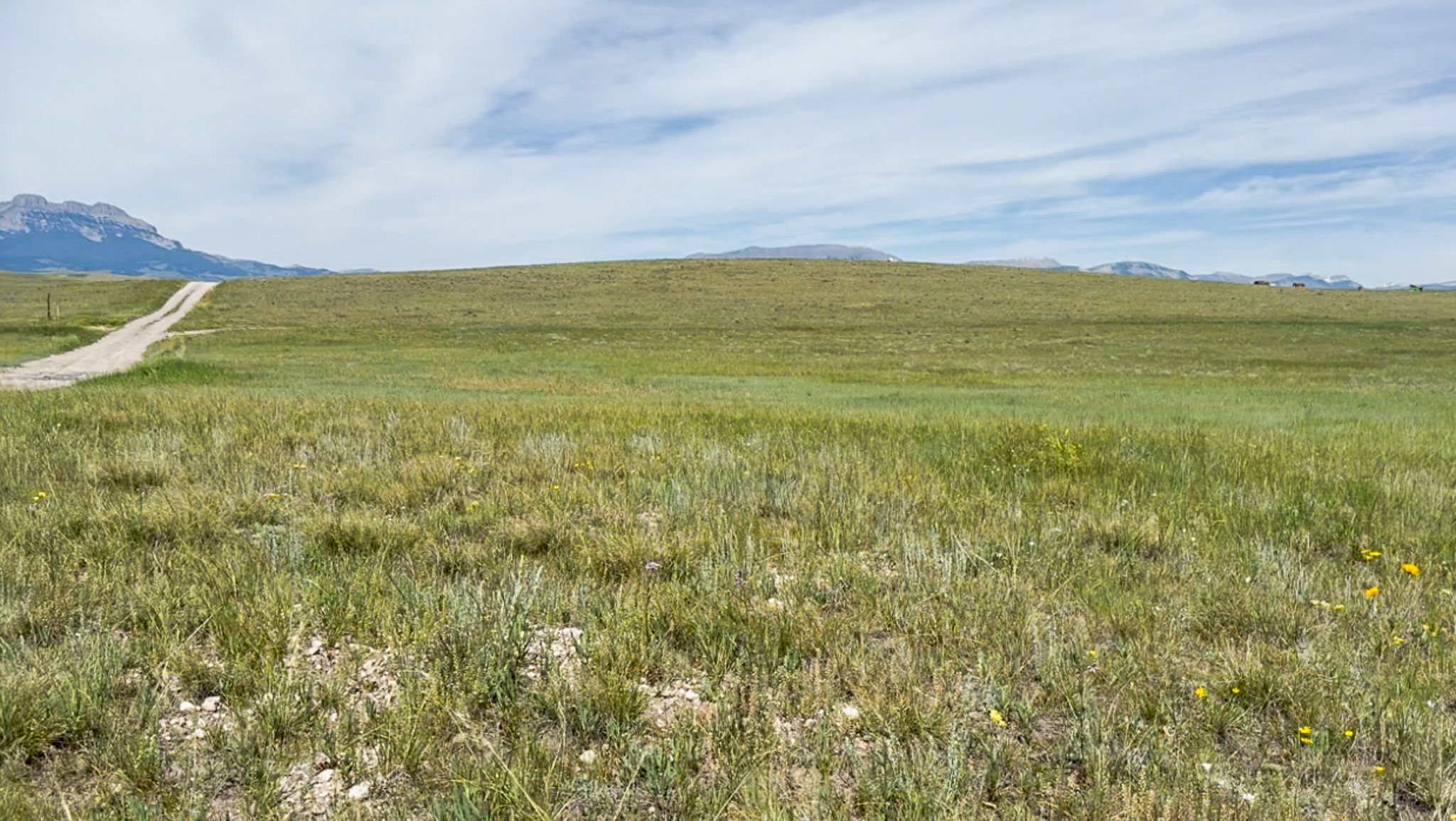 Lot 146 Willow Creek Subdivision Property Photo 7