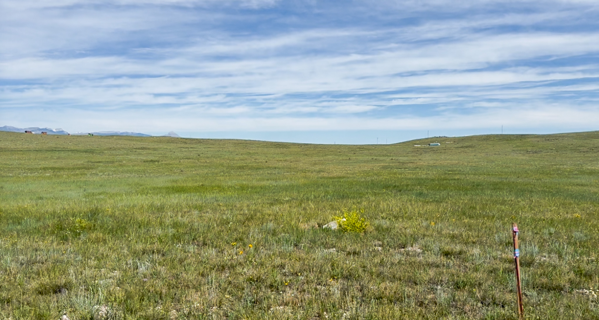 Lot 146 Willow Creek Subdivision Property Photo 8