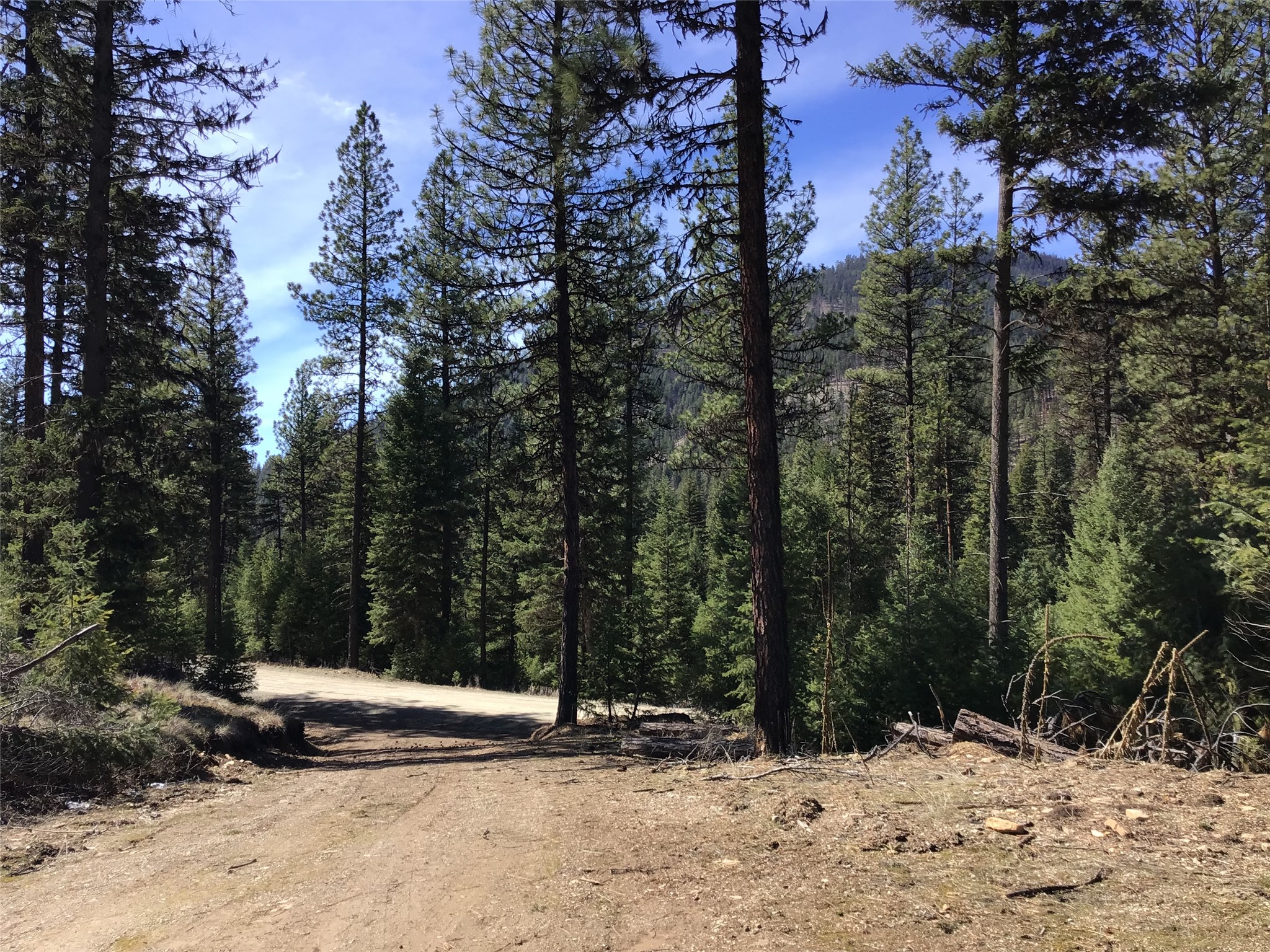 2300 Keystone Gulch Road Property Photo 37
