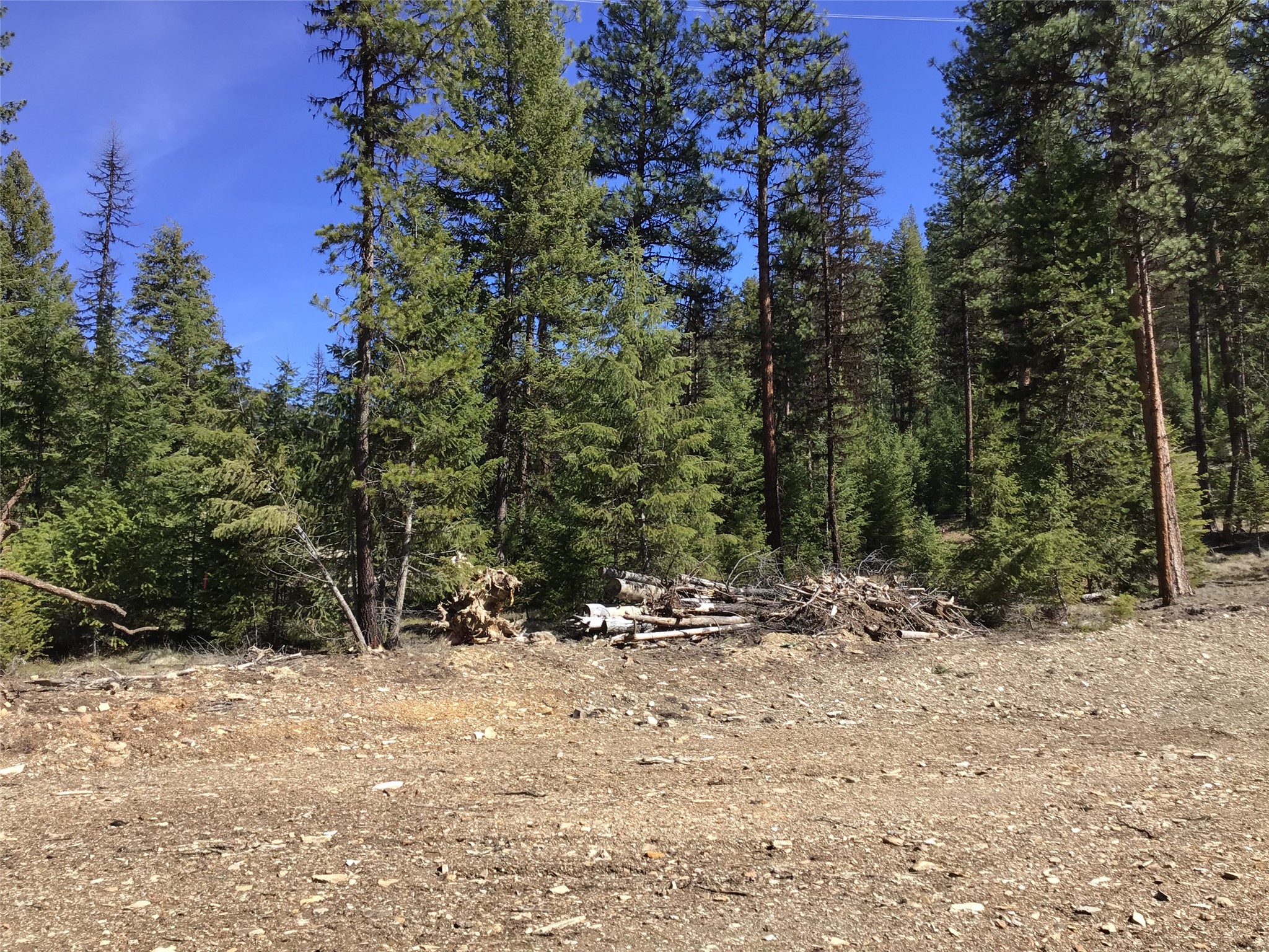 2300 Keystone Gulch Road Property Photo 38