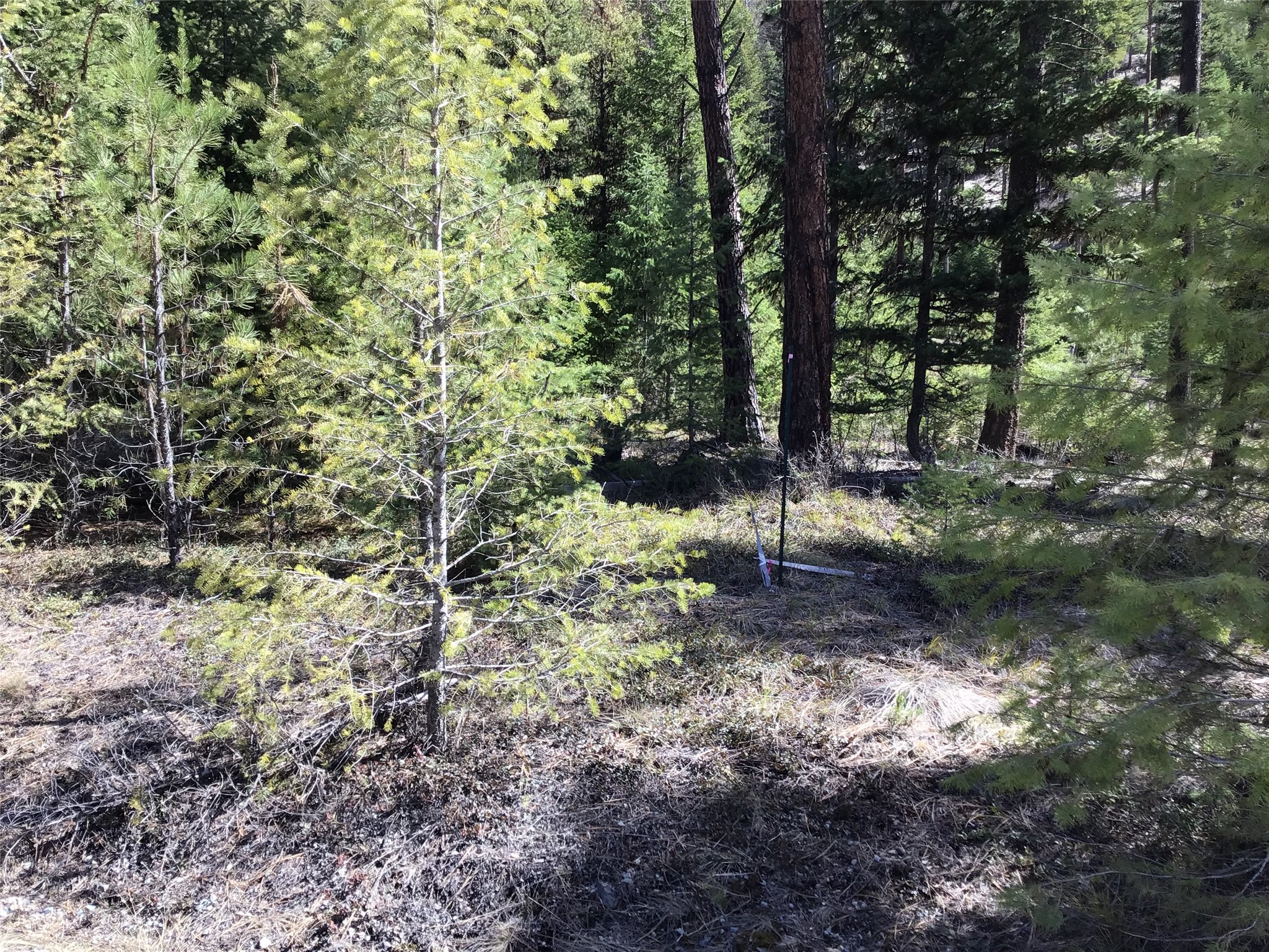 2300 Keystone Gulch Road Property Photo 39