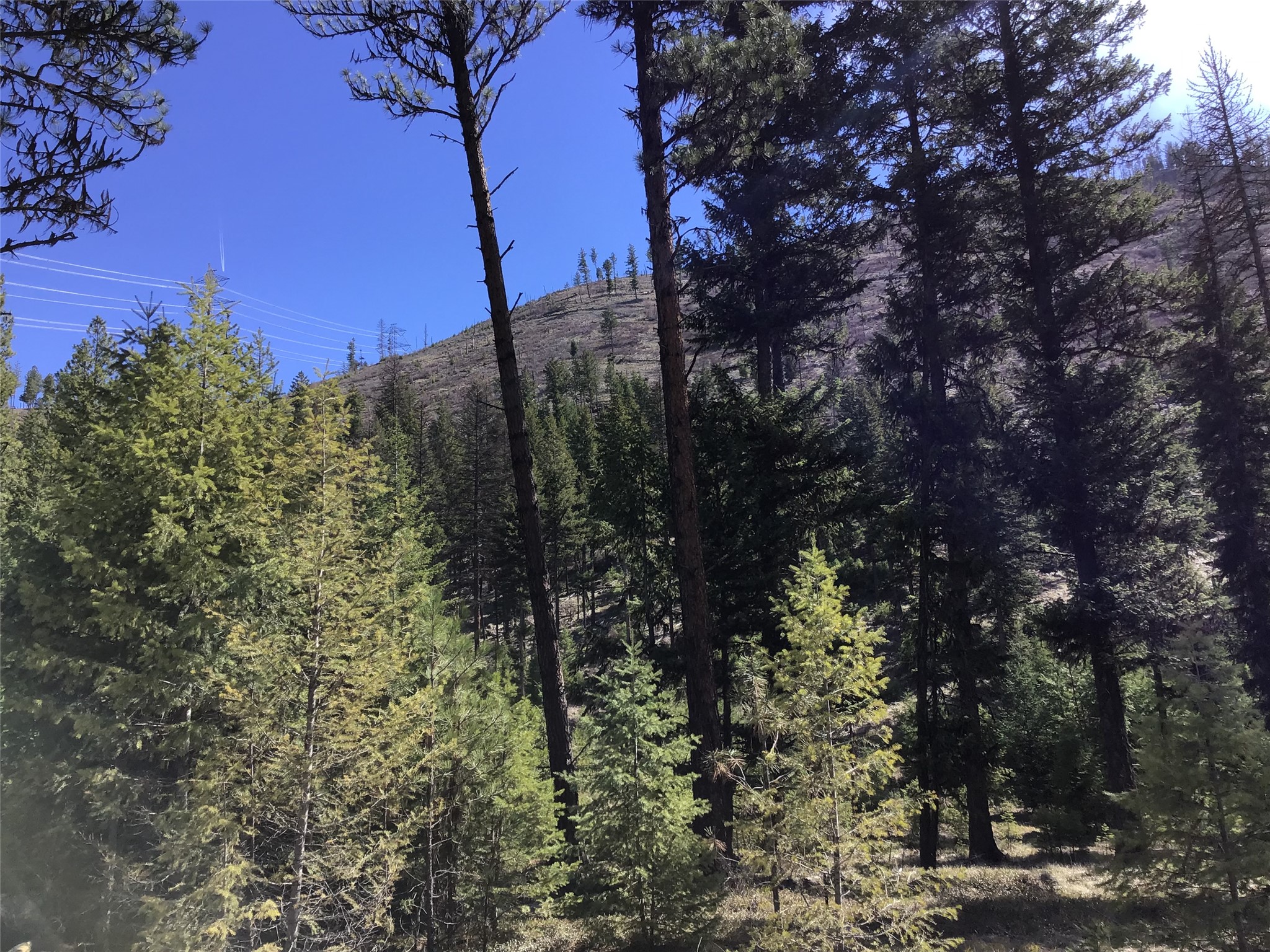 2300 Keystone Gulch Road Property Photo 40