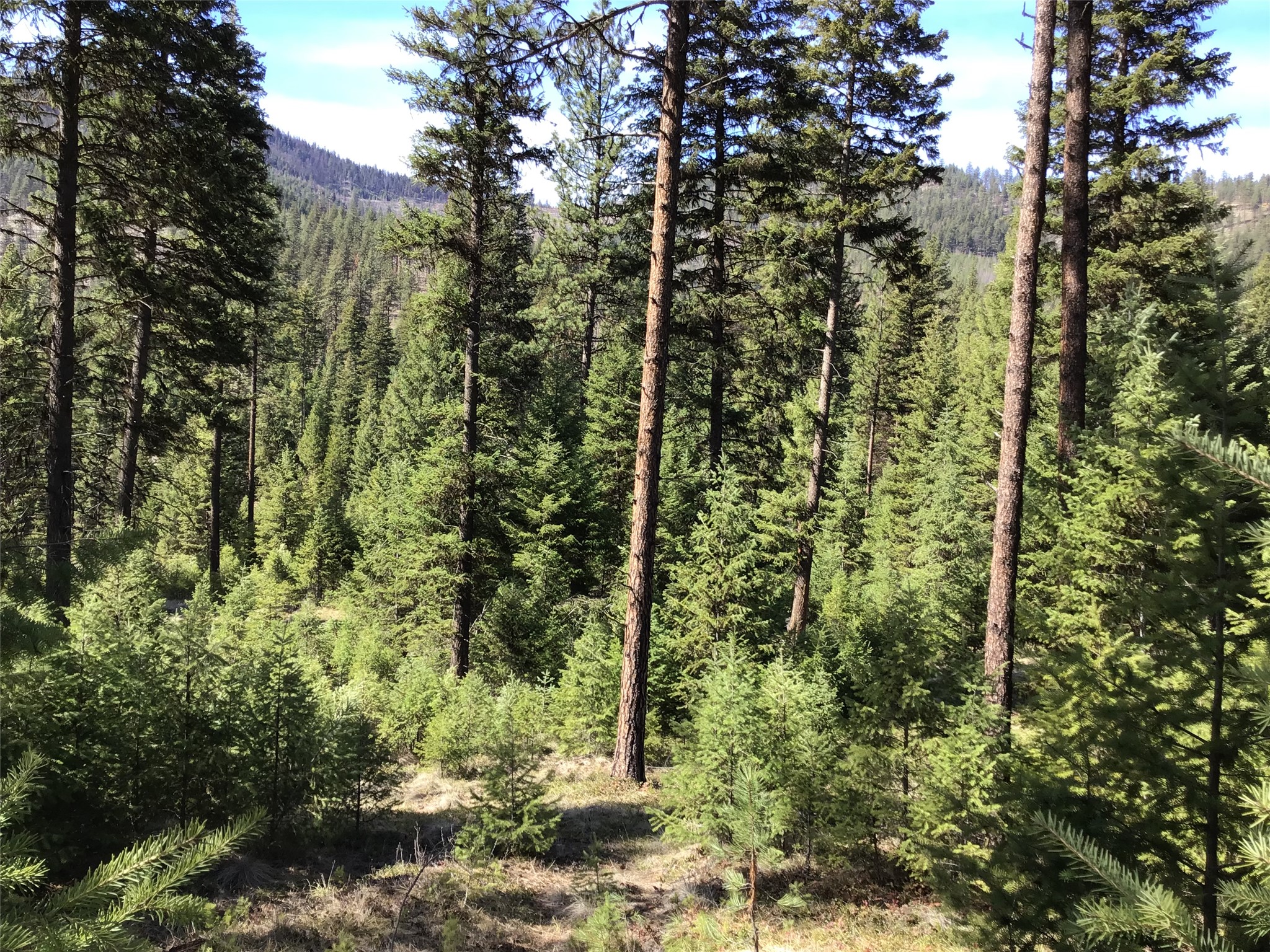 2300 Keystone Gulch Road Property Photo 41
