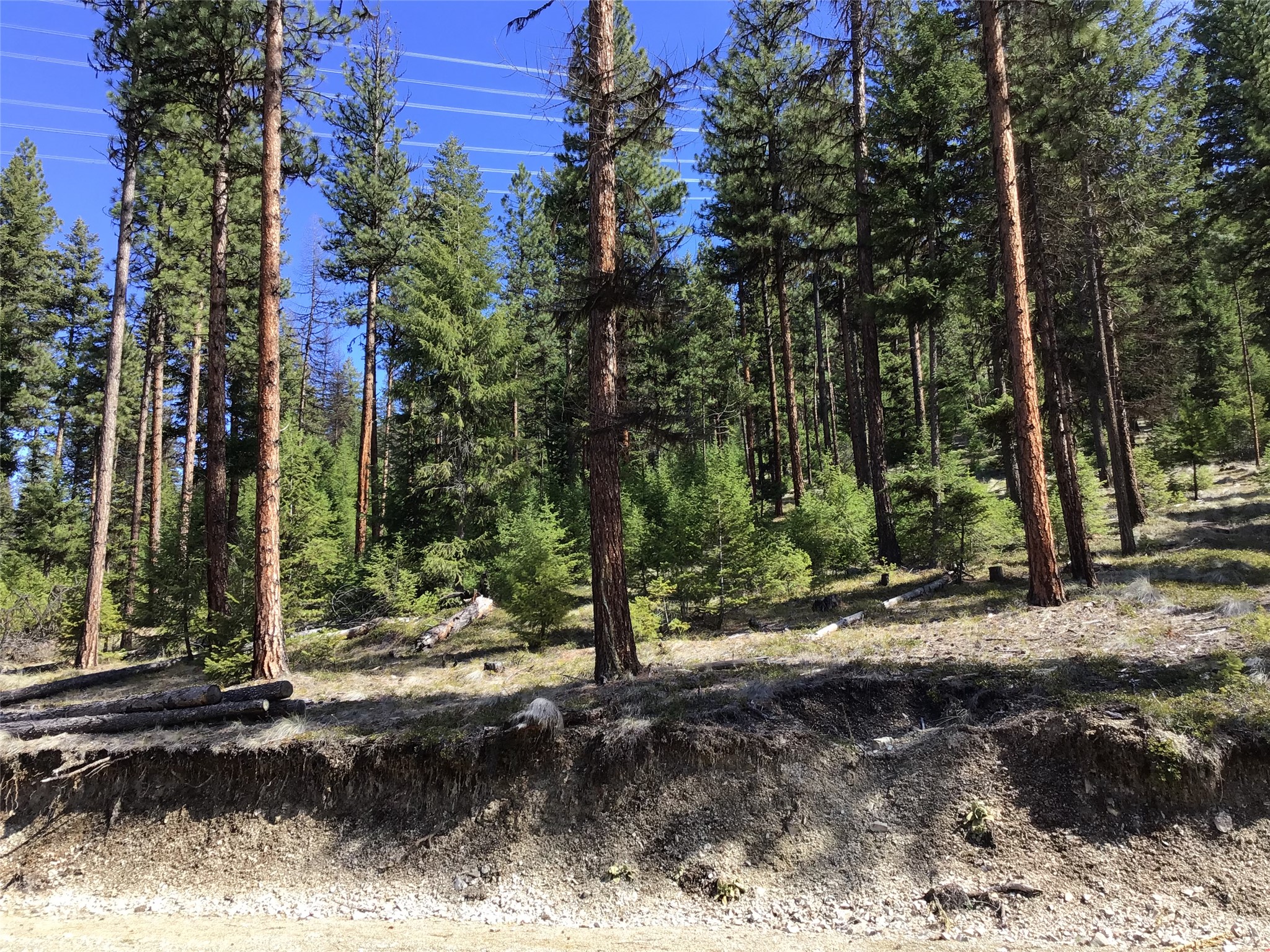 2300 Keystone Gulch Road Property Photo 46