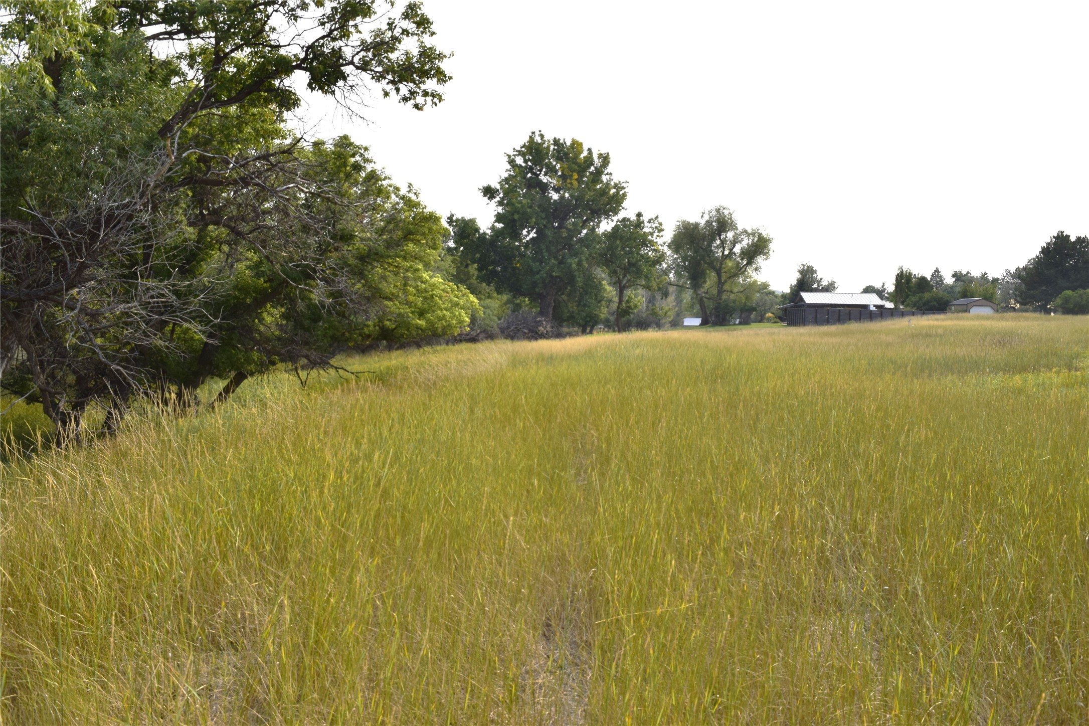 167 Dune Drive Property Photo 3