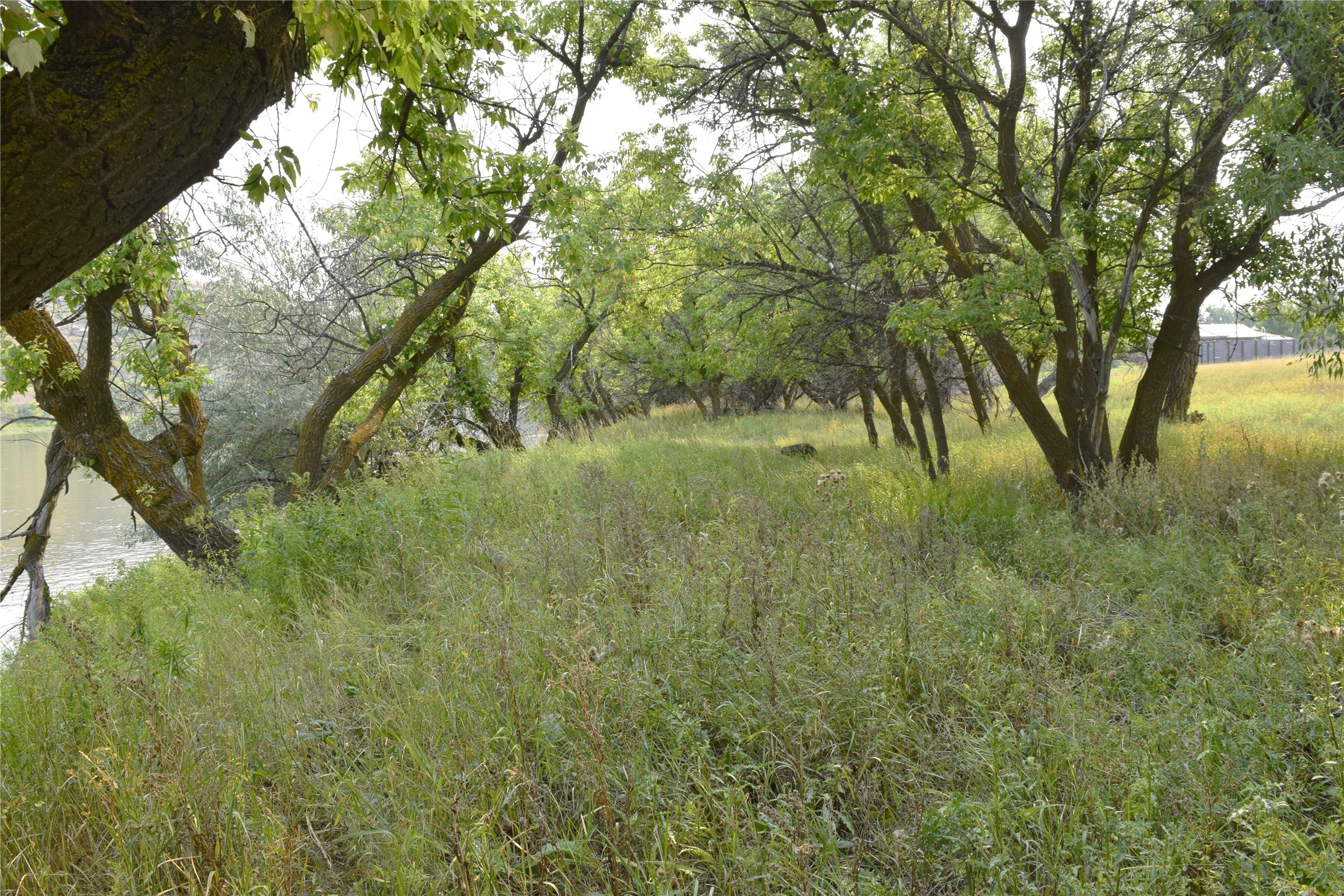 167 Dune Drive Property Photo 7