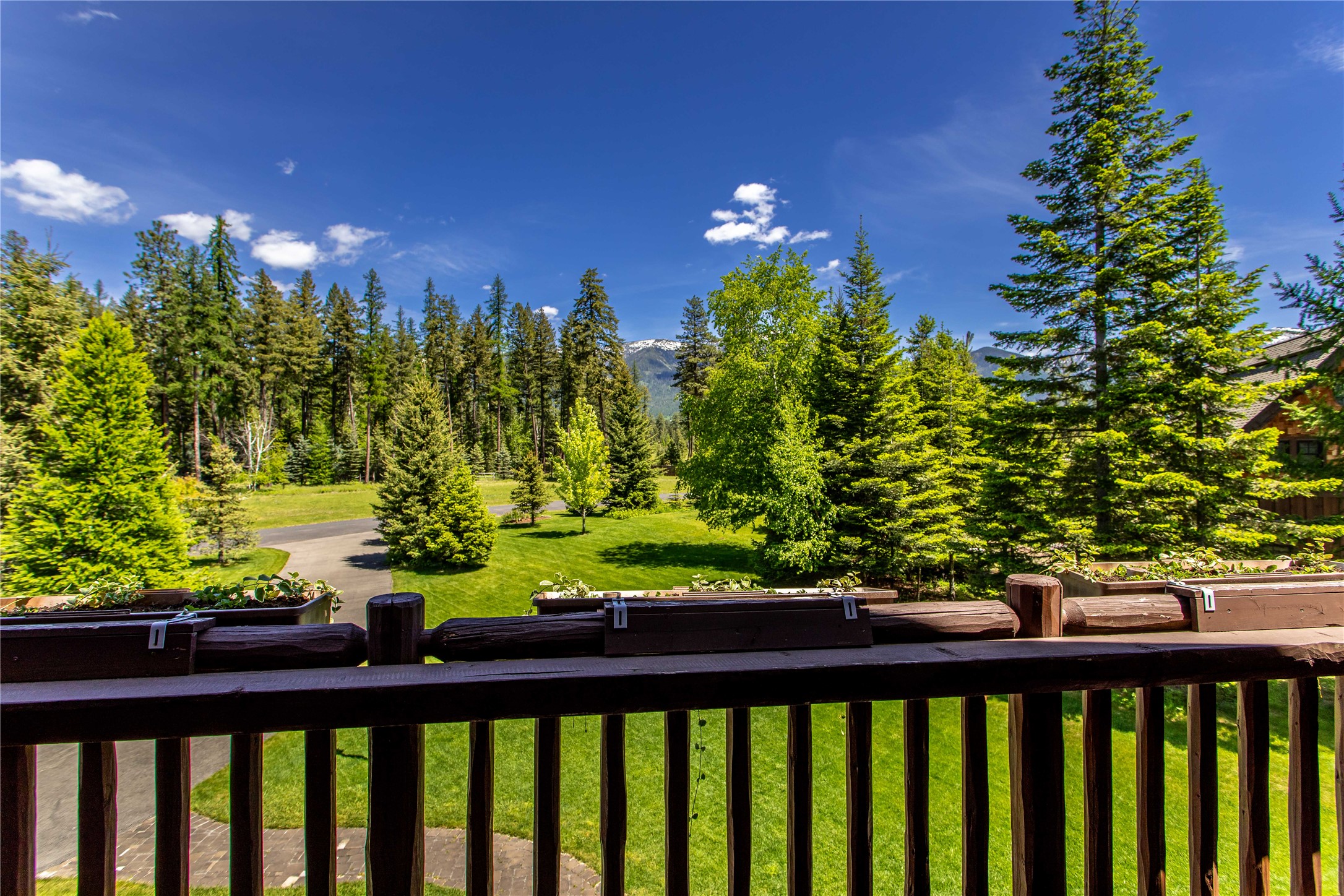 12284 Cygnet Way Property Photo 18