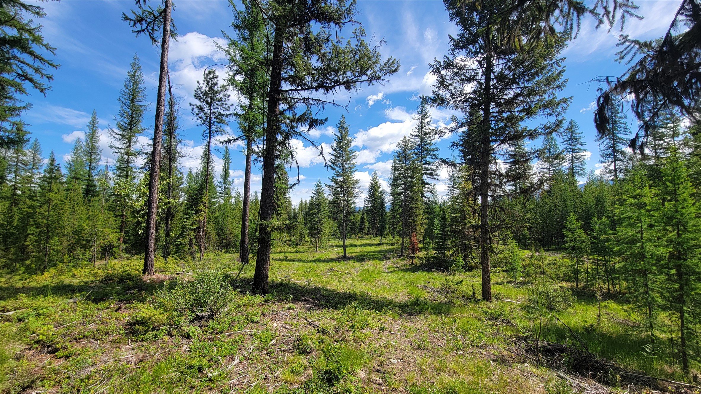 34477 Shay Lake Road Property Photo 2
