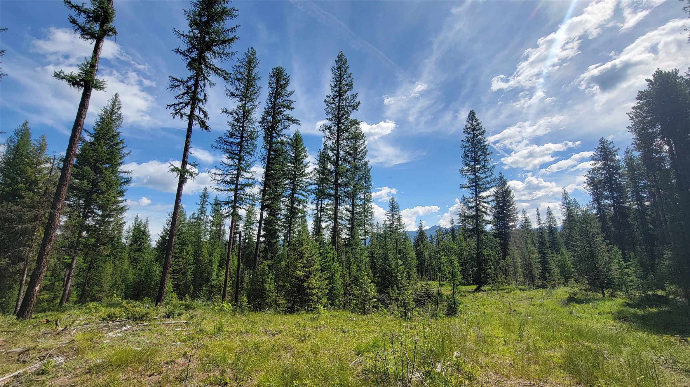 34477 Shay Lake Road Property Photo 6