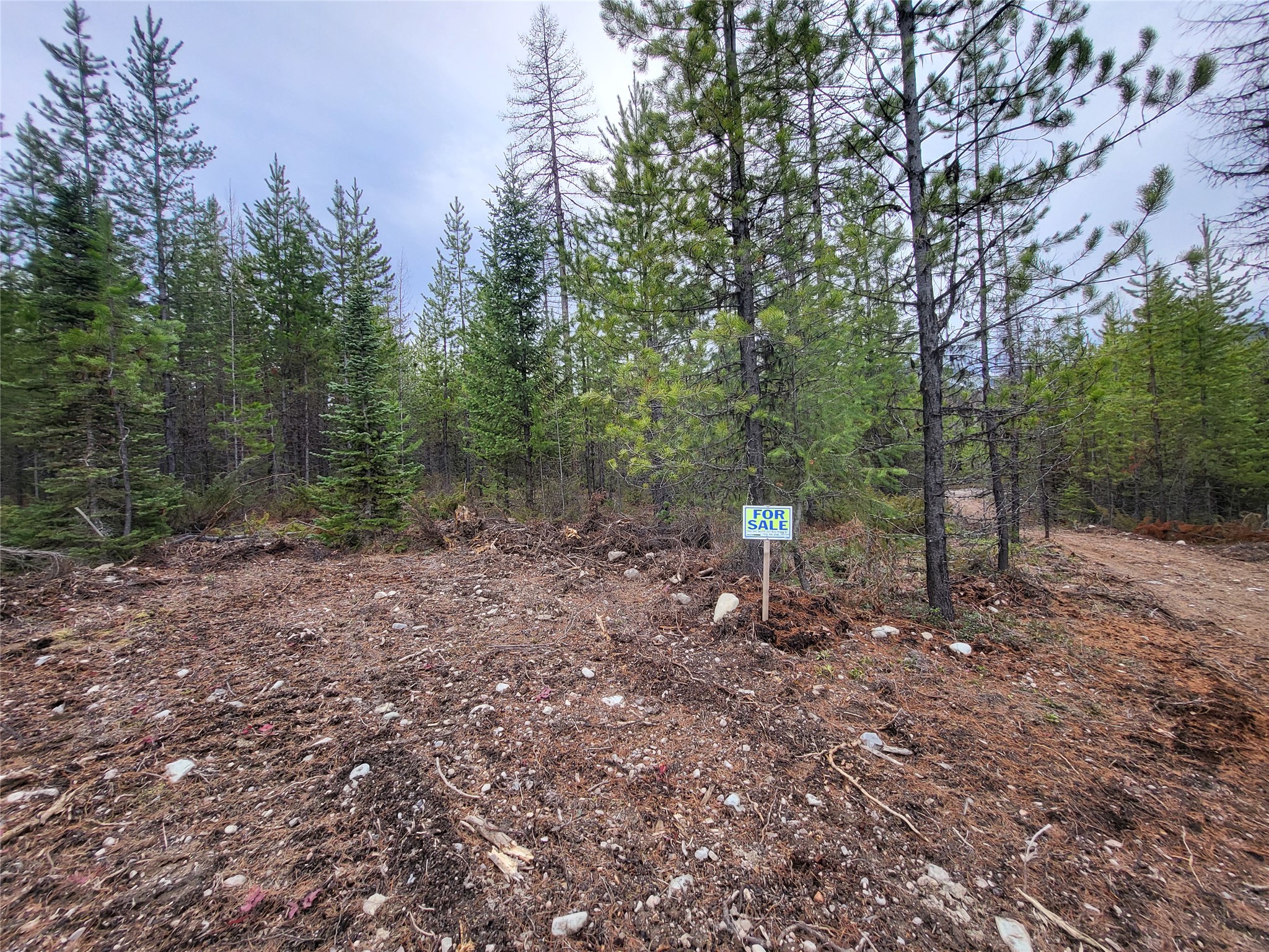 34477 Shay Lake Road Property Photo 9