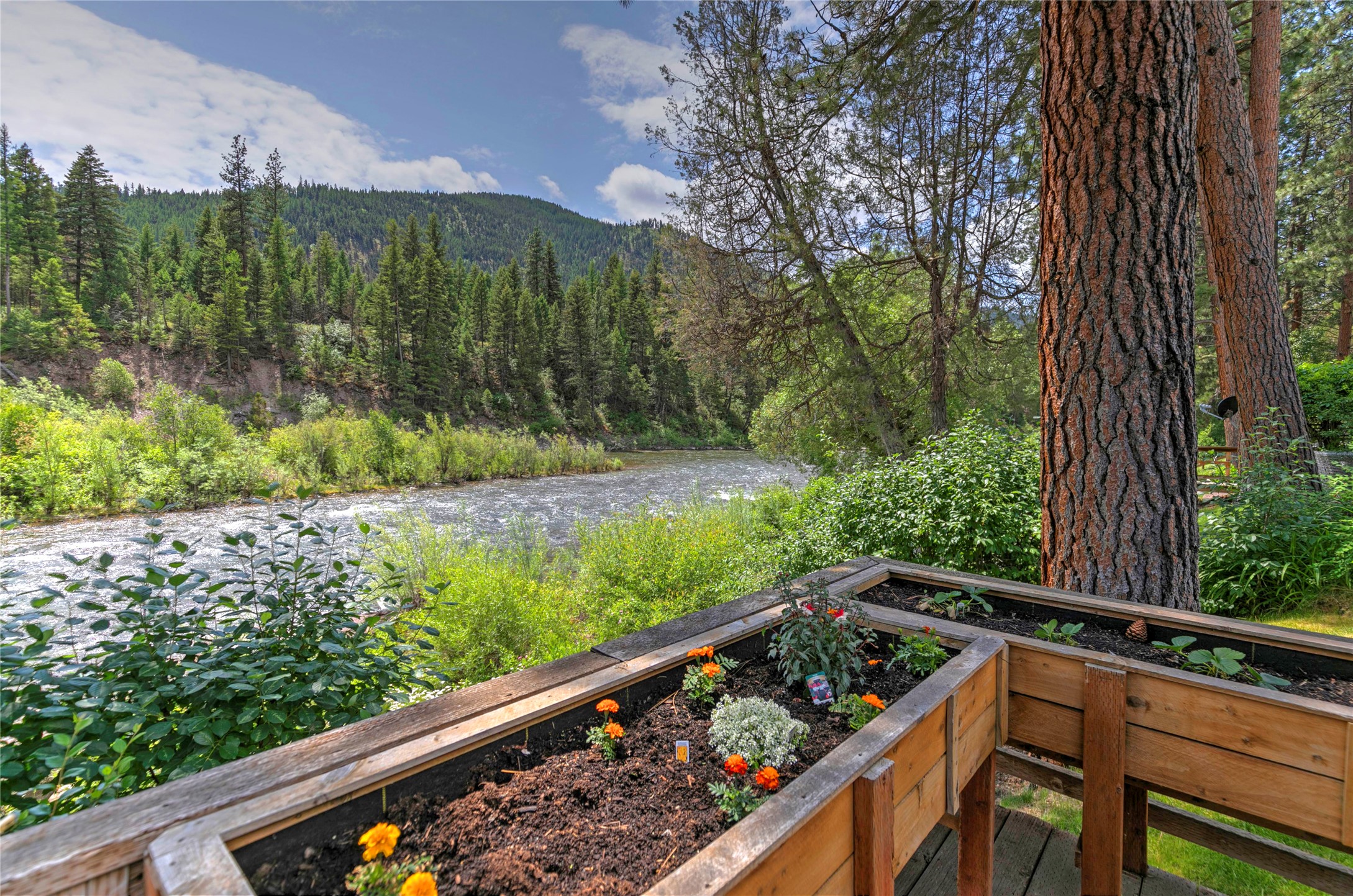 4580 Whitewater Park Property Photo 43