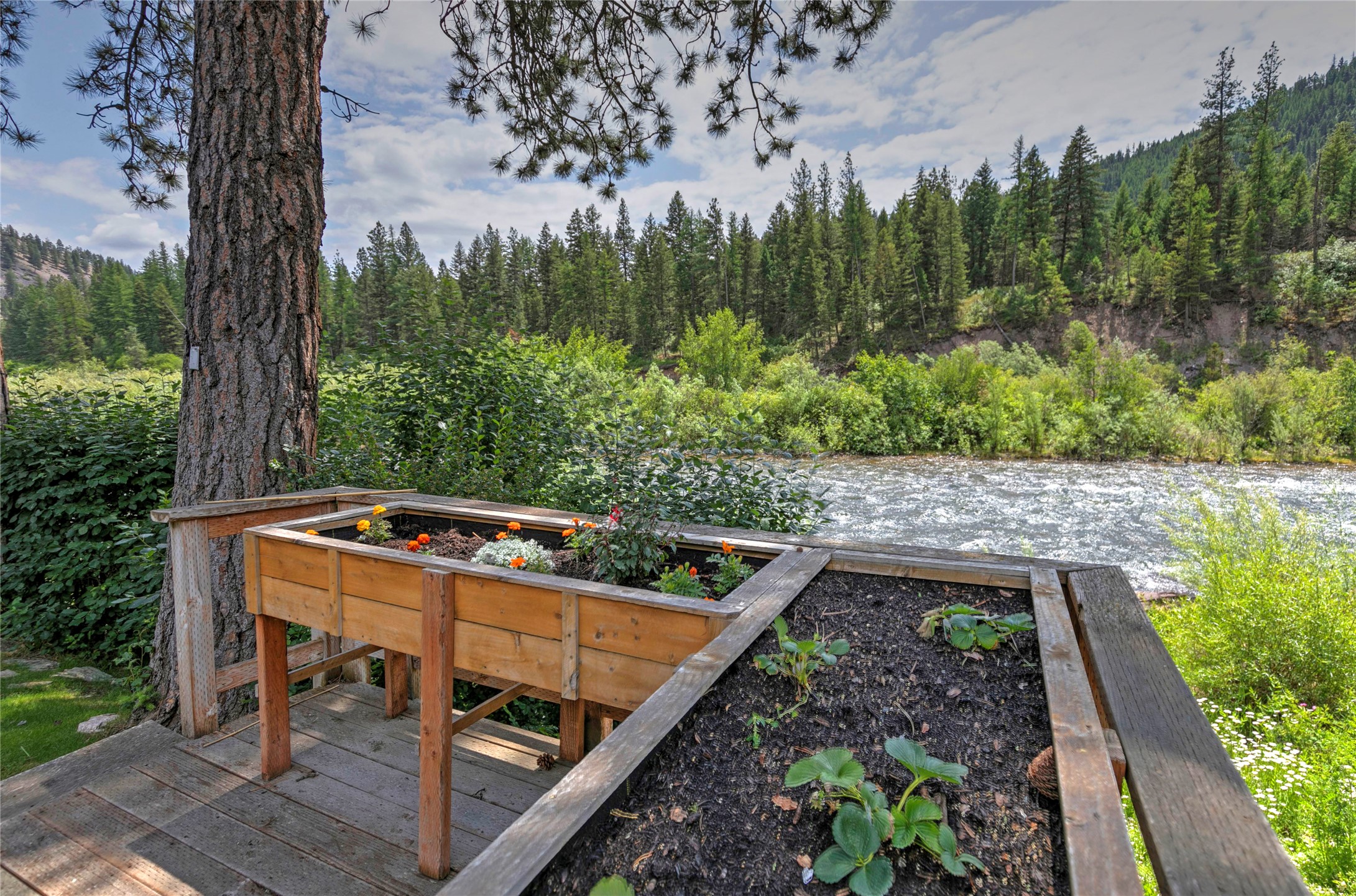 4580 Whitewater Park Property Photo 44