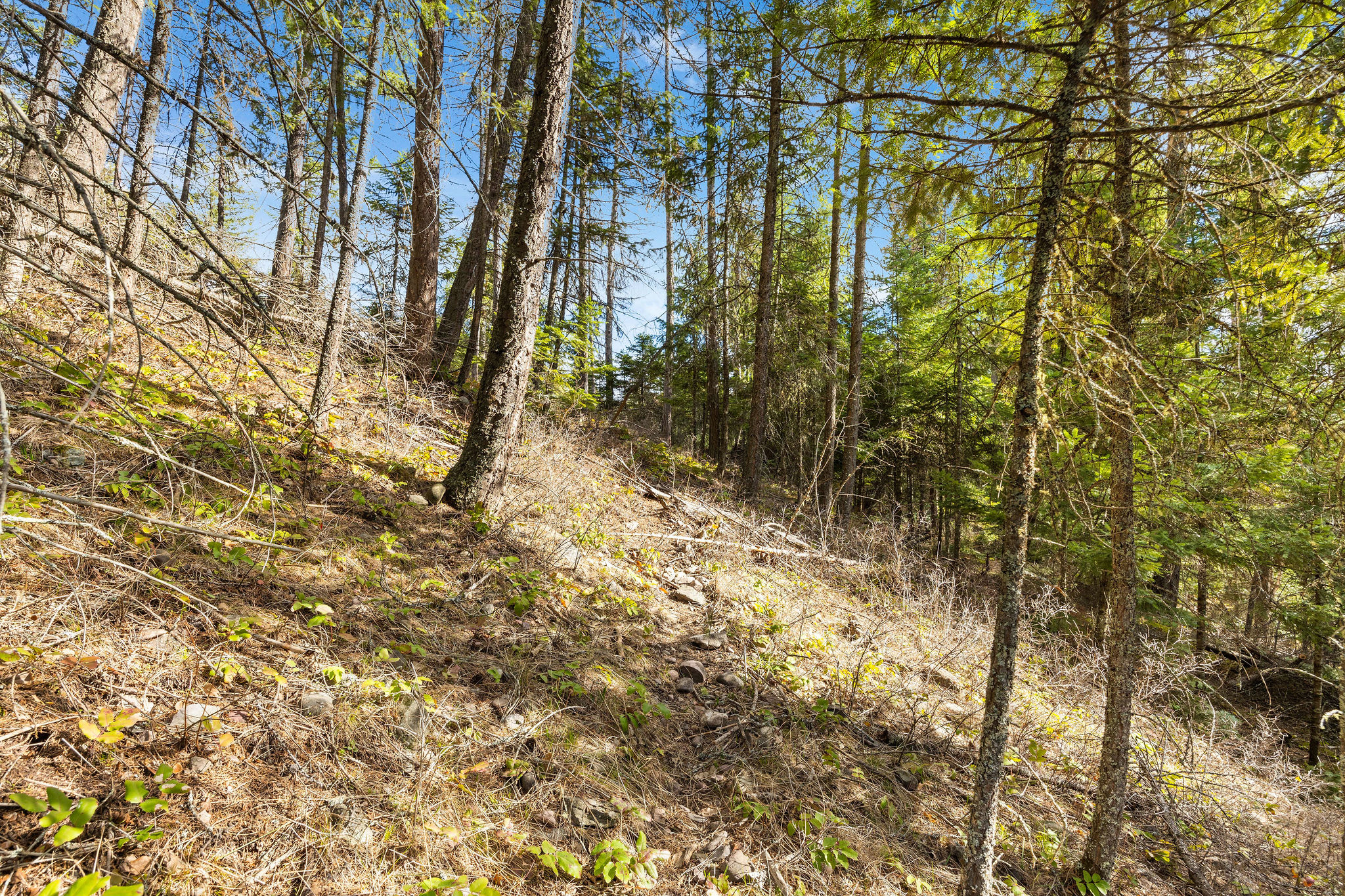 310 Rolling Ridge Drive Property Photo 4