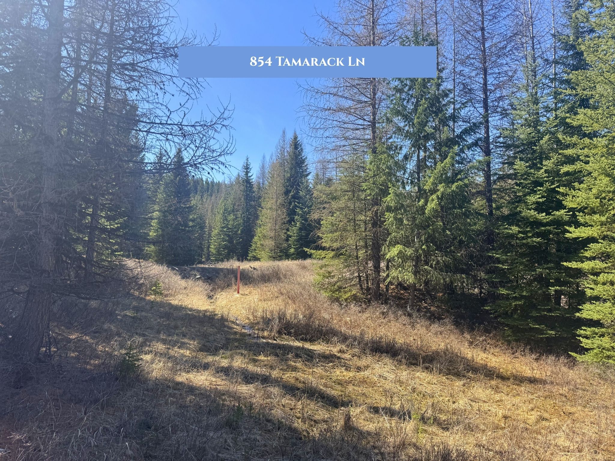 854 Tamarack Lane Property Photo 8