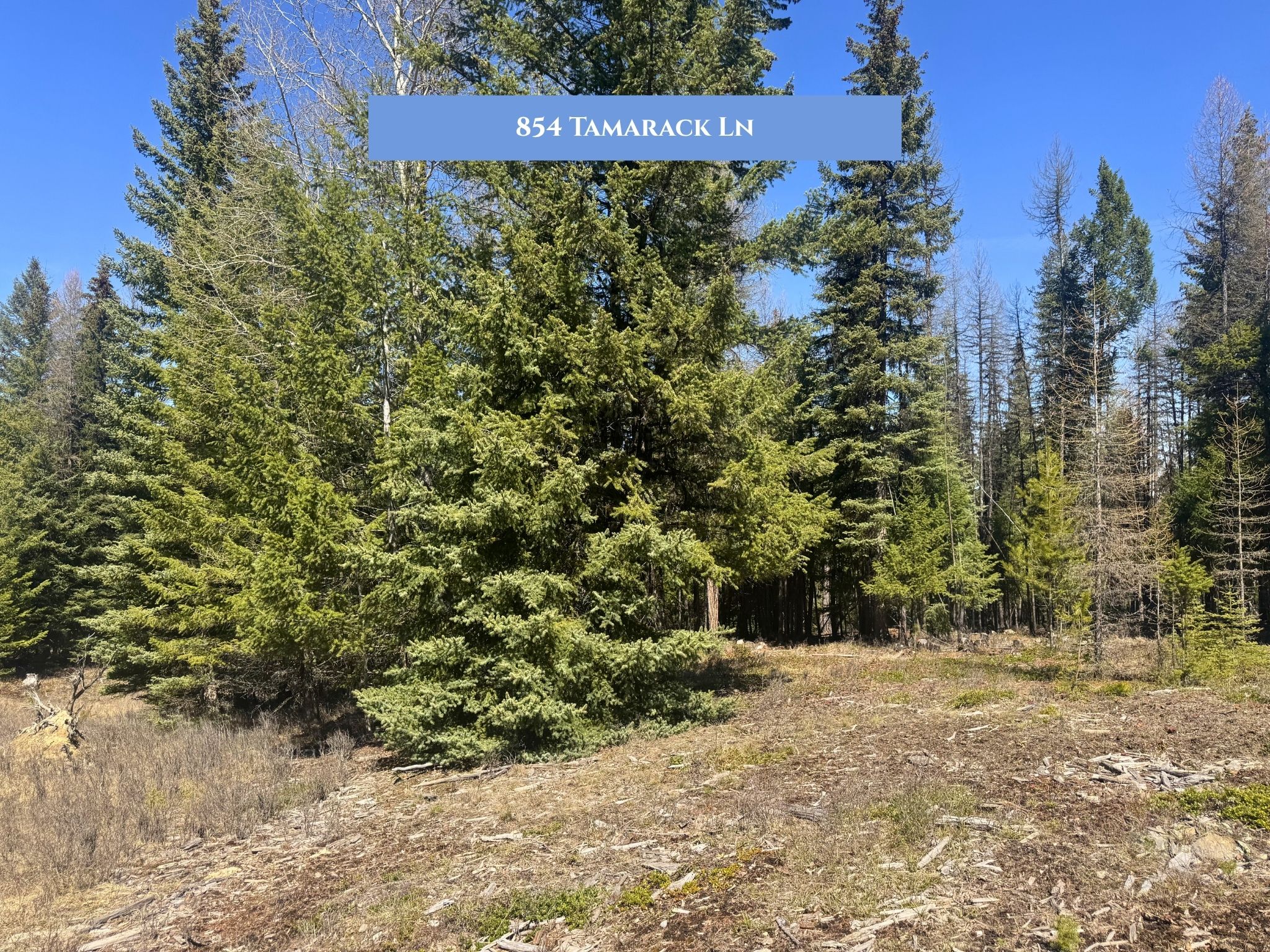 854 Tamarack Lane Property Photo 10