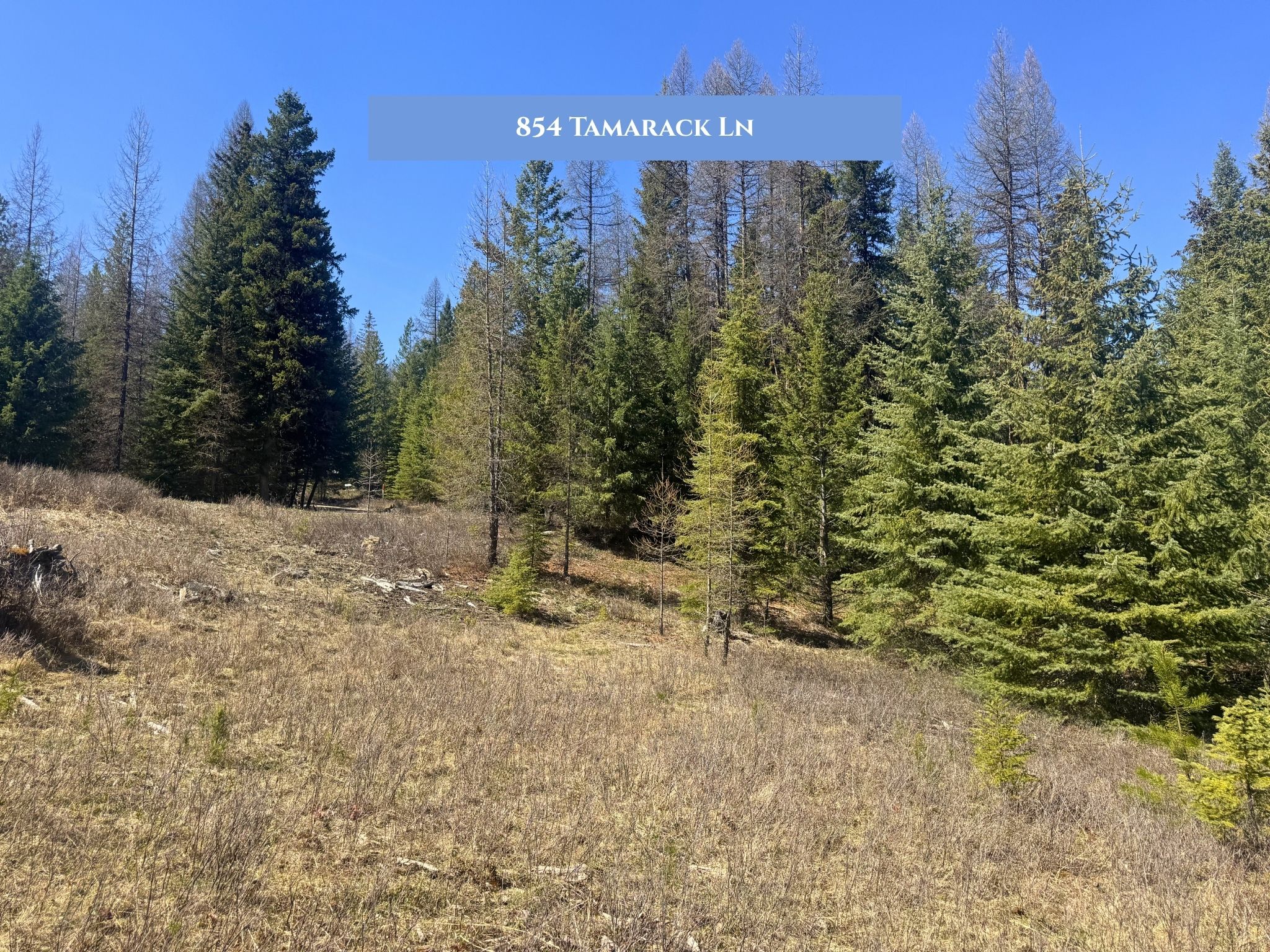 854 Tamarack Lane Property Photo 12