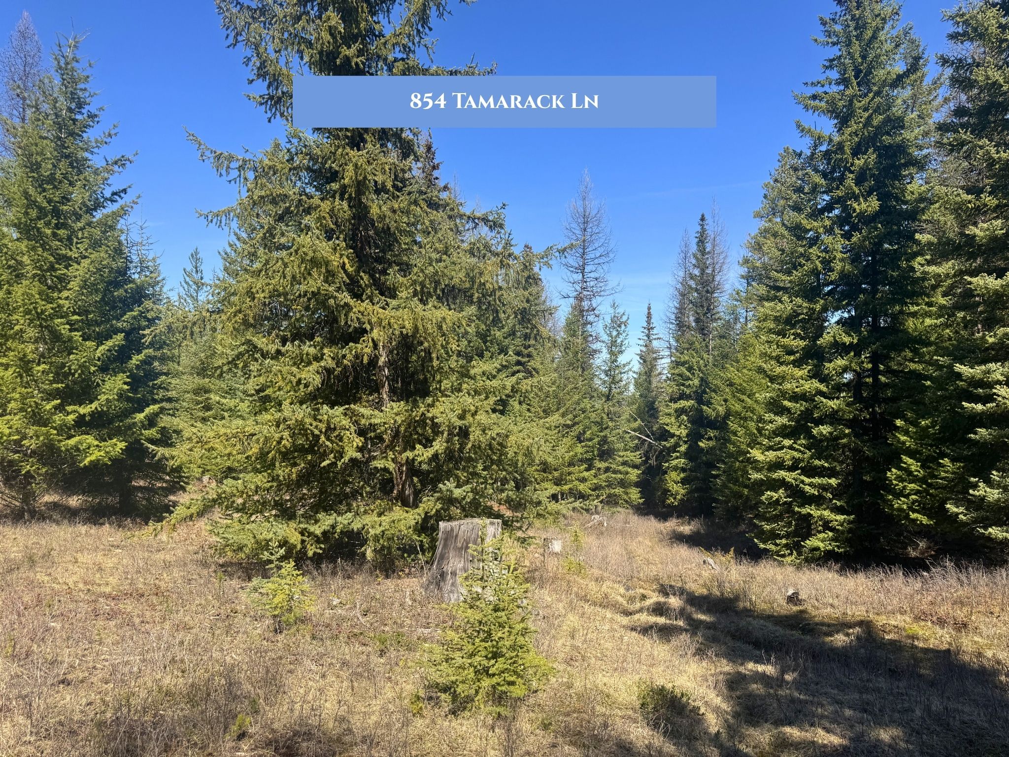 854 Tamarack Lane Property Photo 13