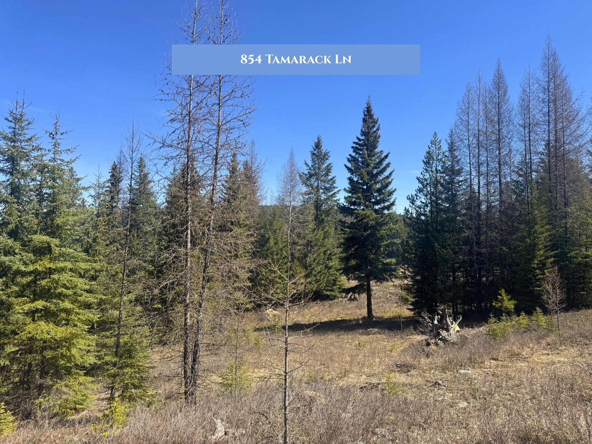 854 Tamarack Lane Property Photo 14