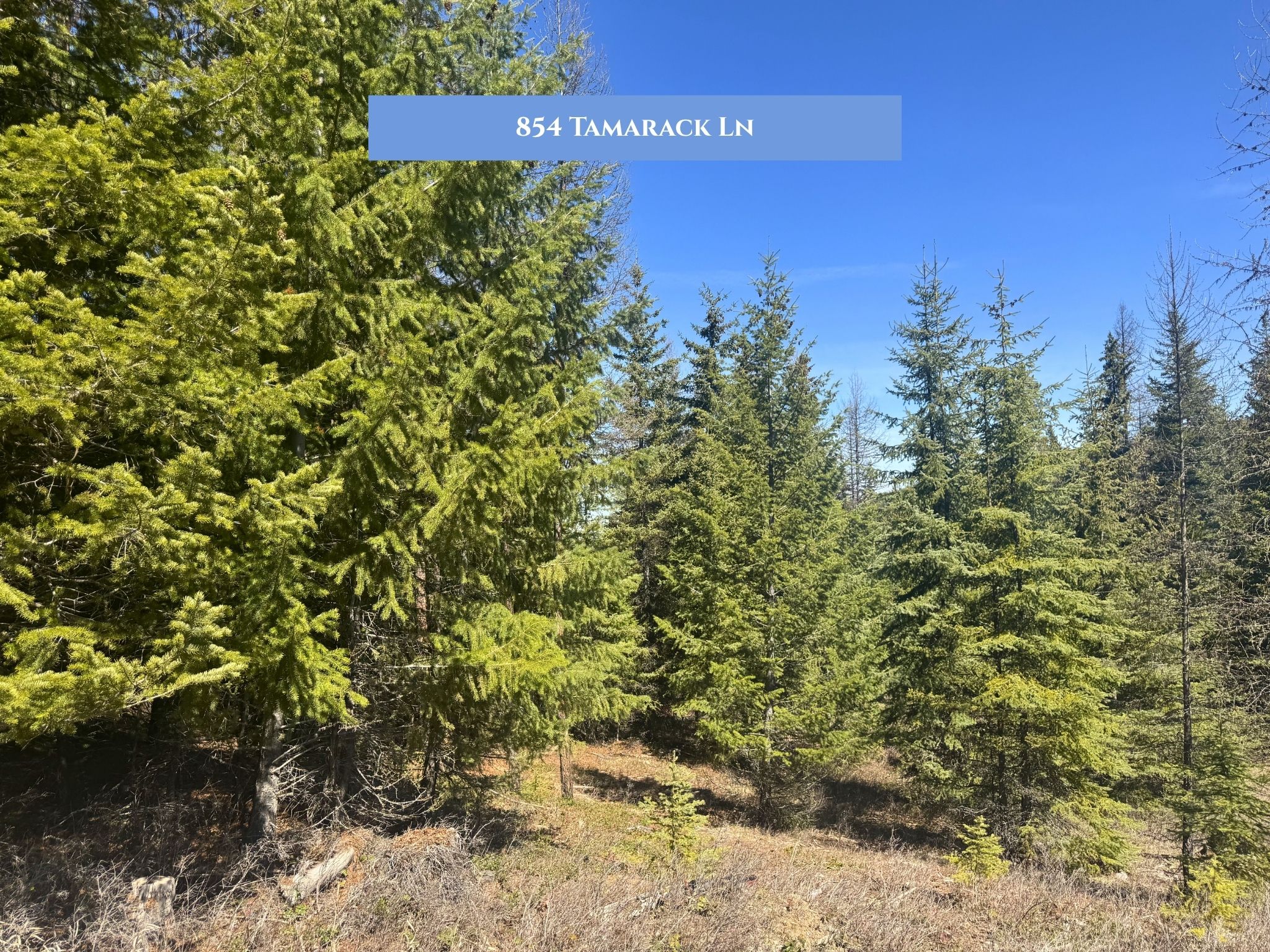 854 Tamarack Lane Property Photo 15