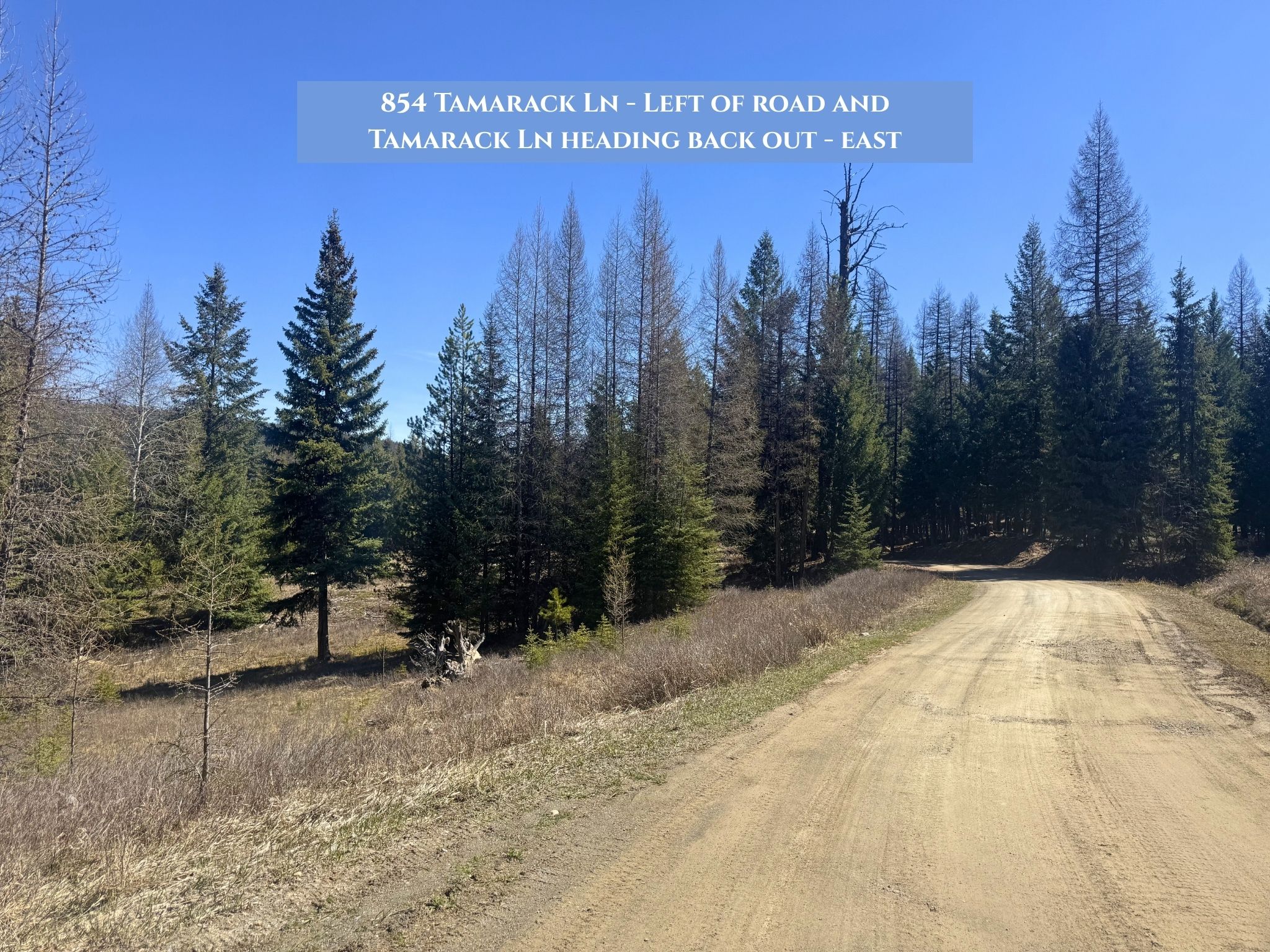 854 Tamarack Lane Property Photo 16