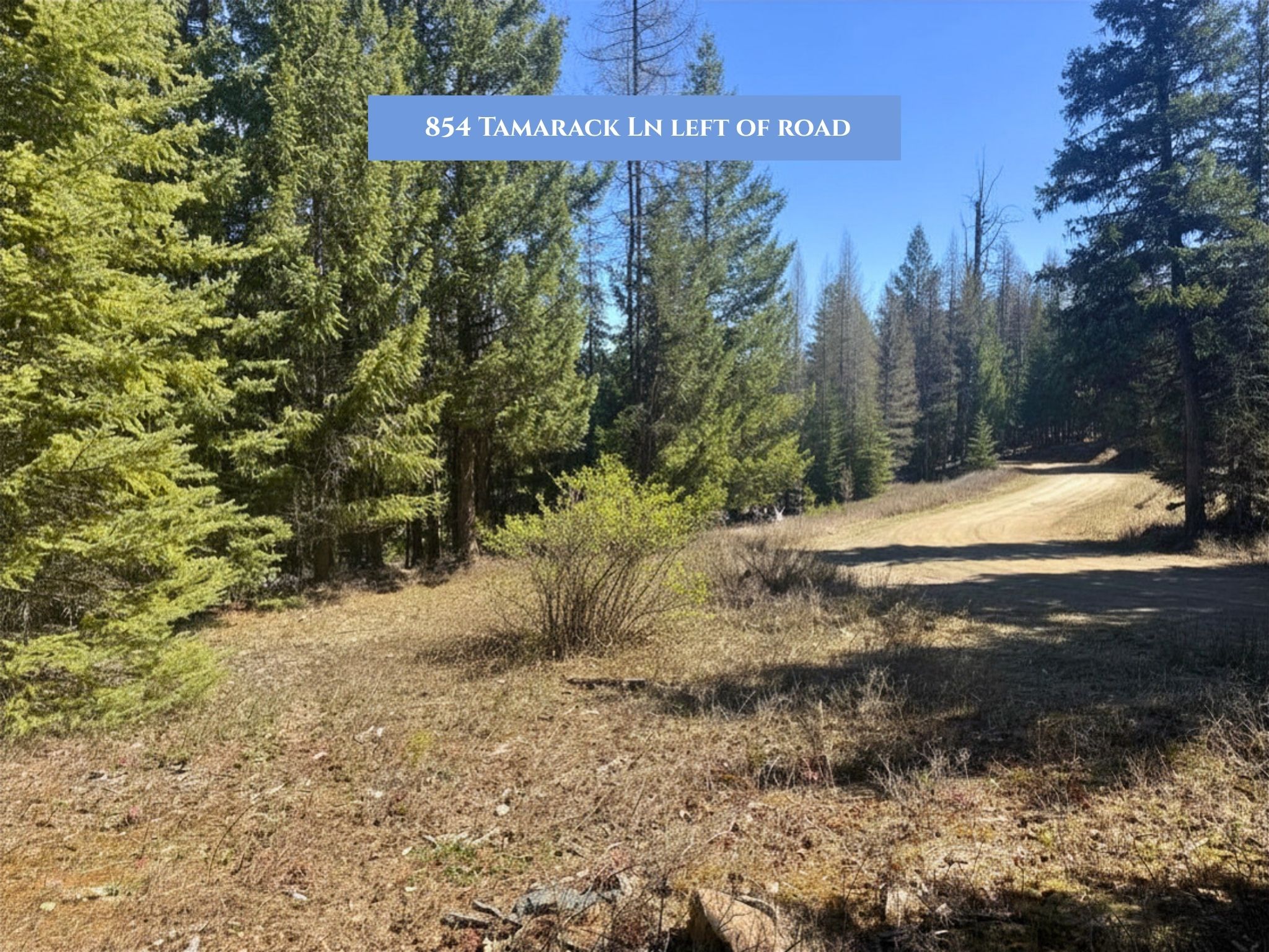 854 Tamarack Lane Property Photo 18