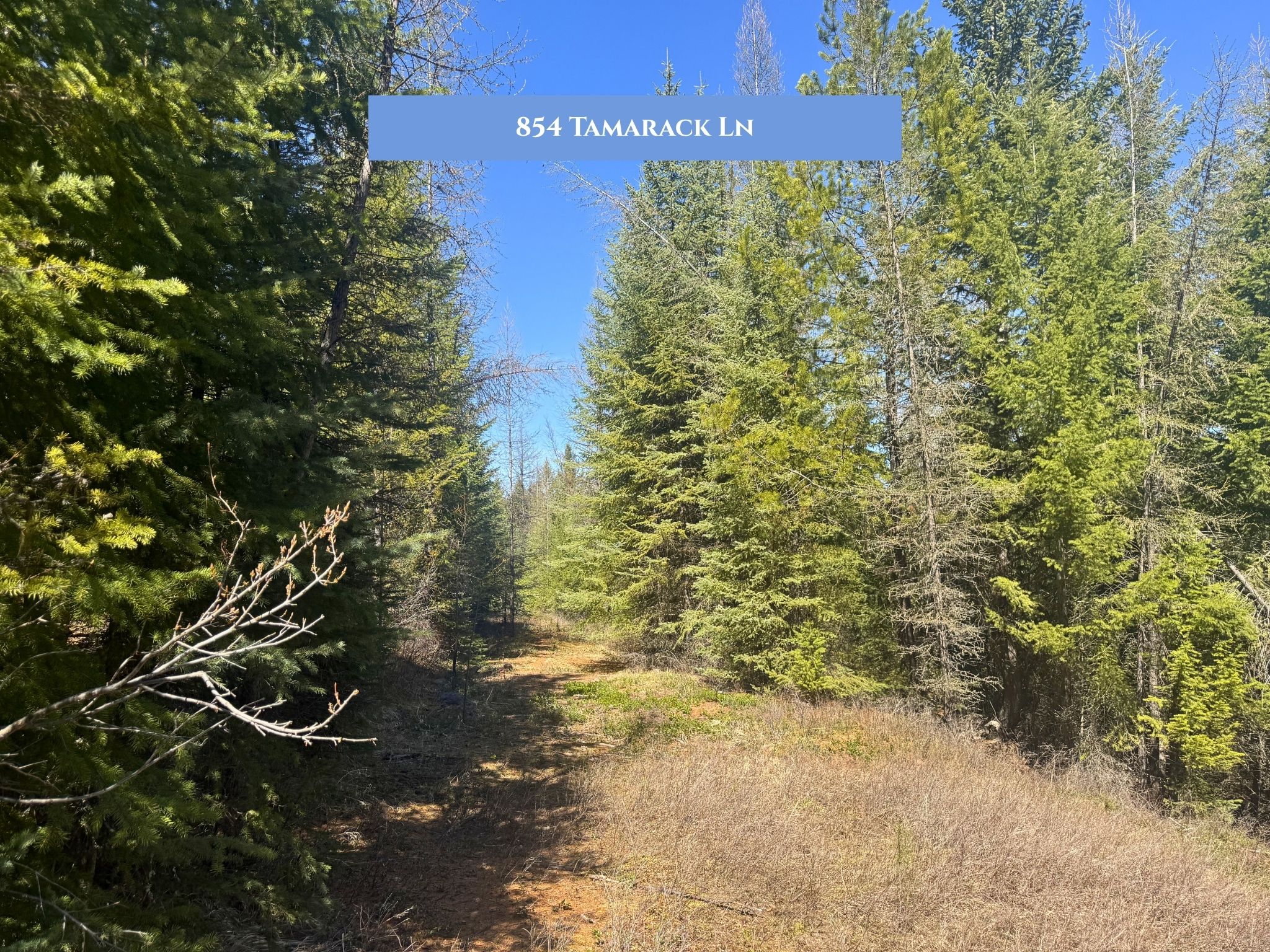 854 Tamarack Lane Property Photo 19