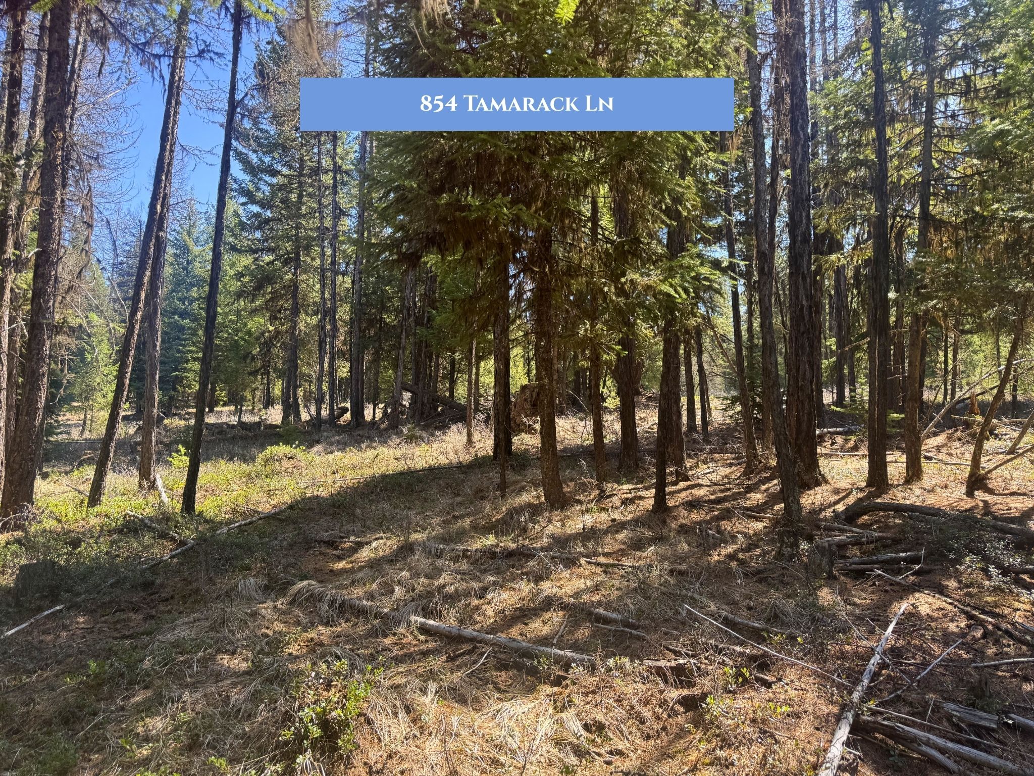 854 Tamarack Lane Property Photo 42