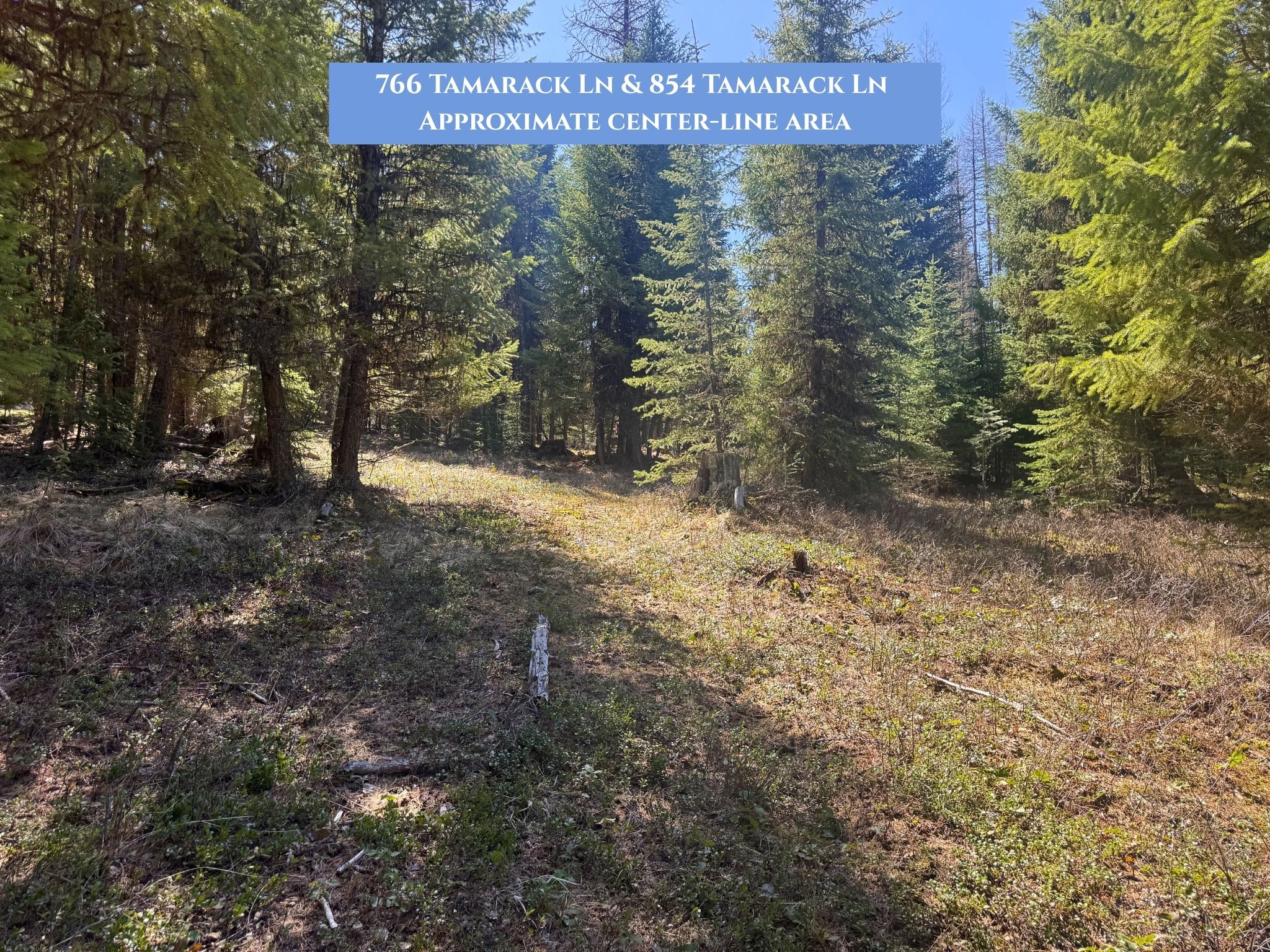 766 Tamarack Lane Property Photo 12